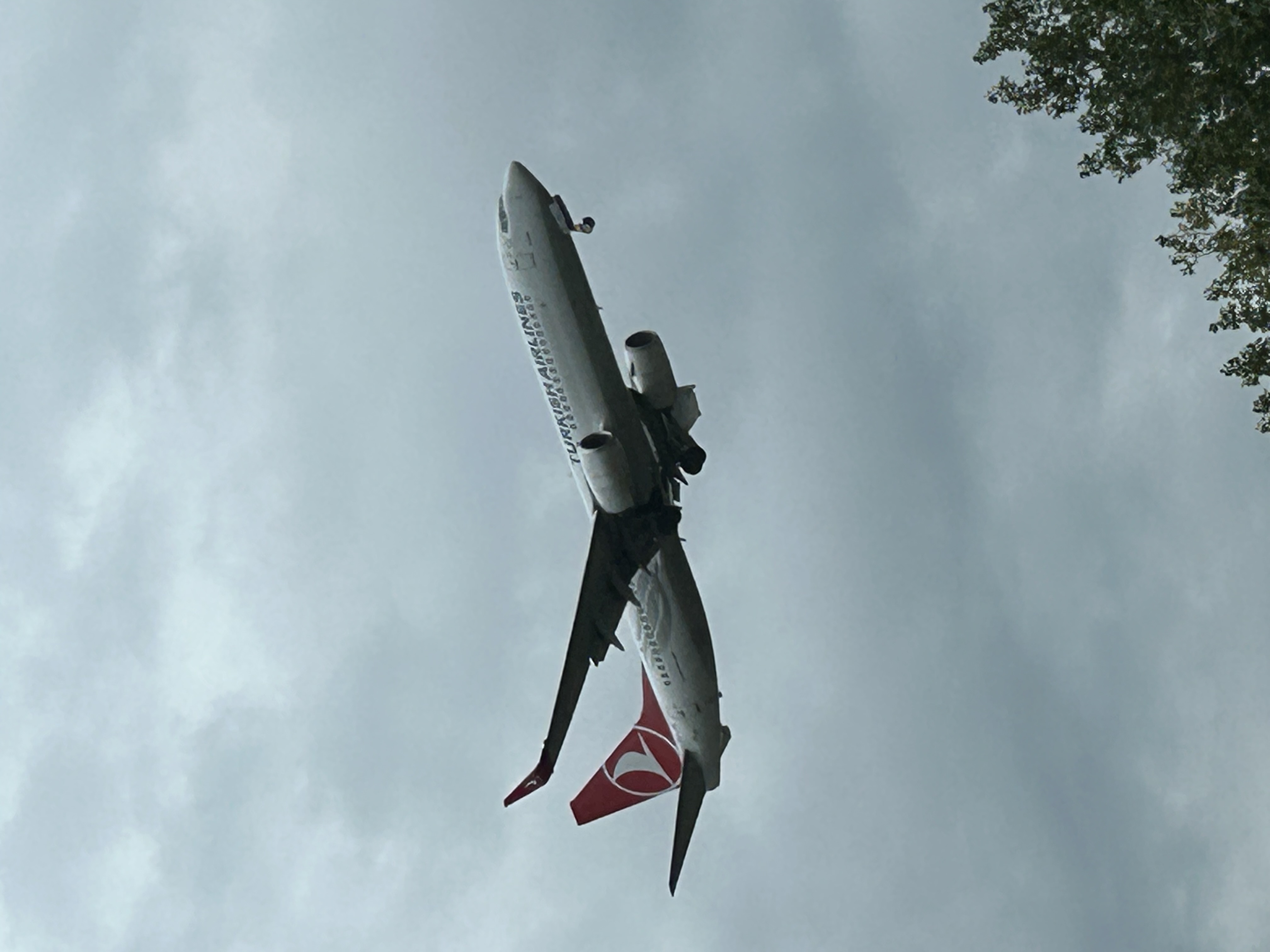 Spotting
