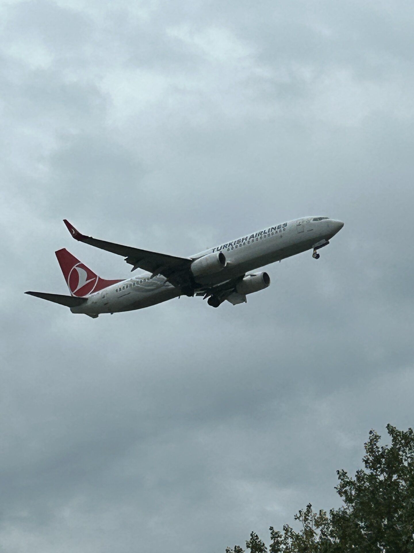 Spotting