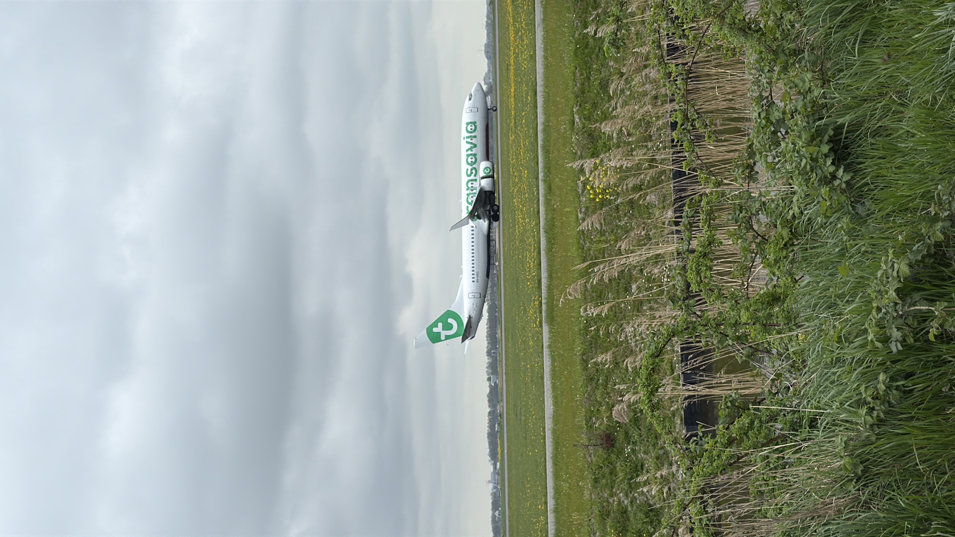 Spotting