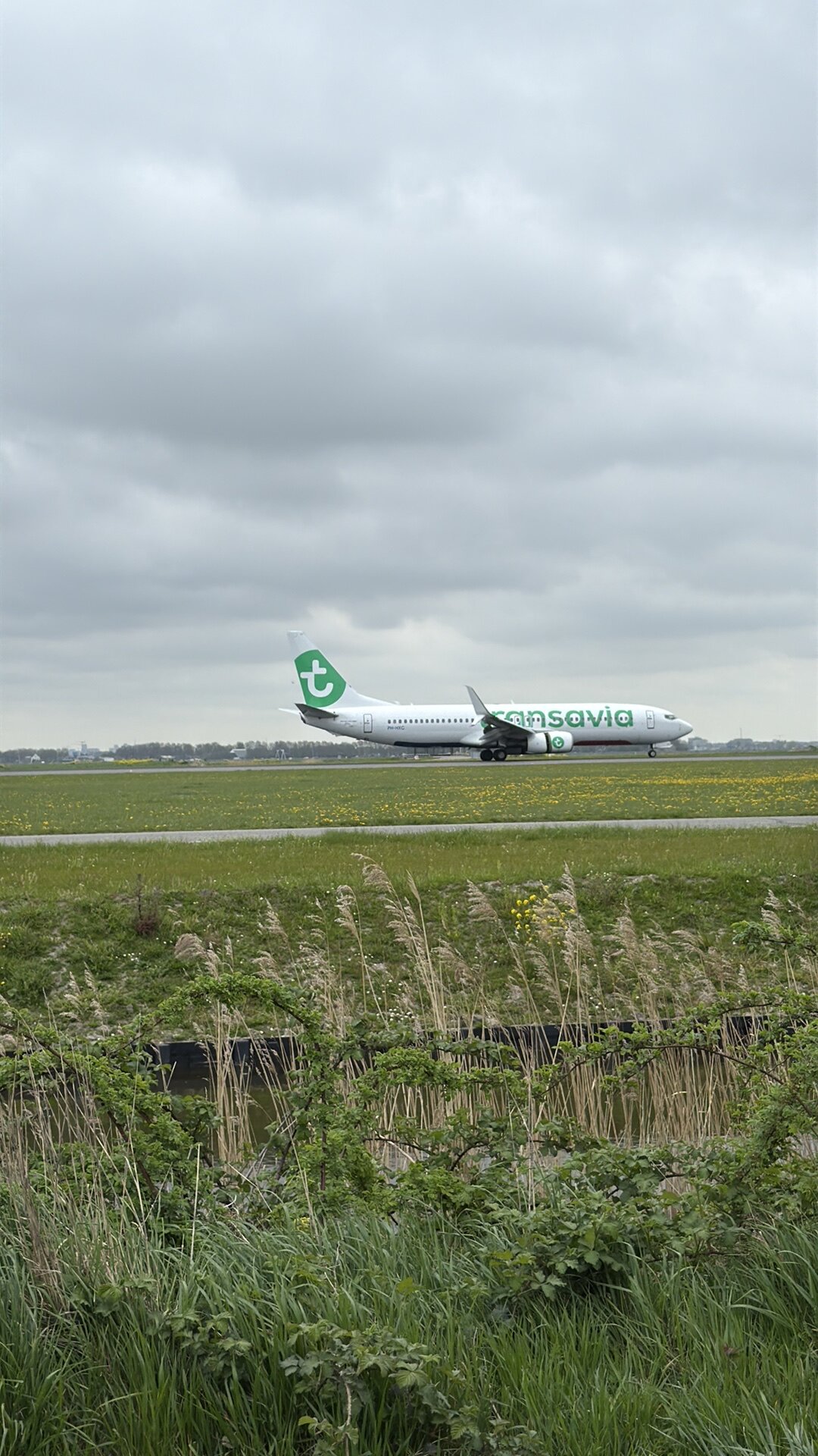 Boeing 737-800