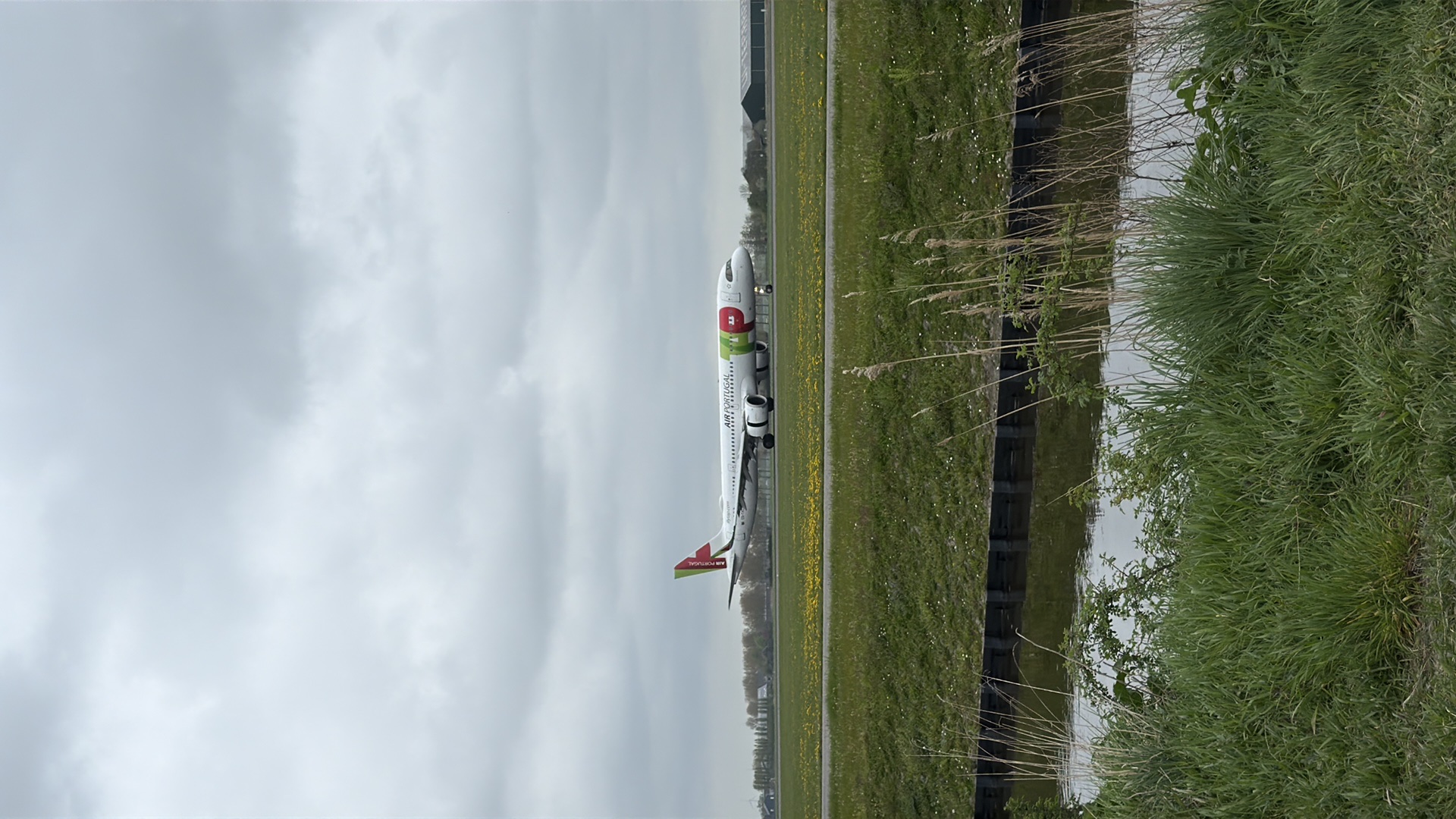 Spotting