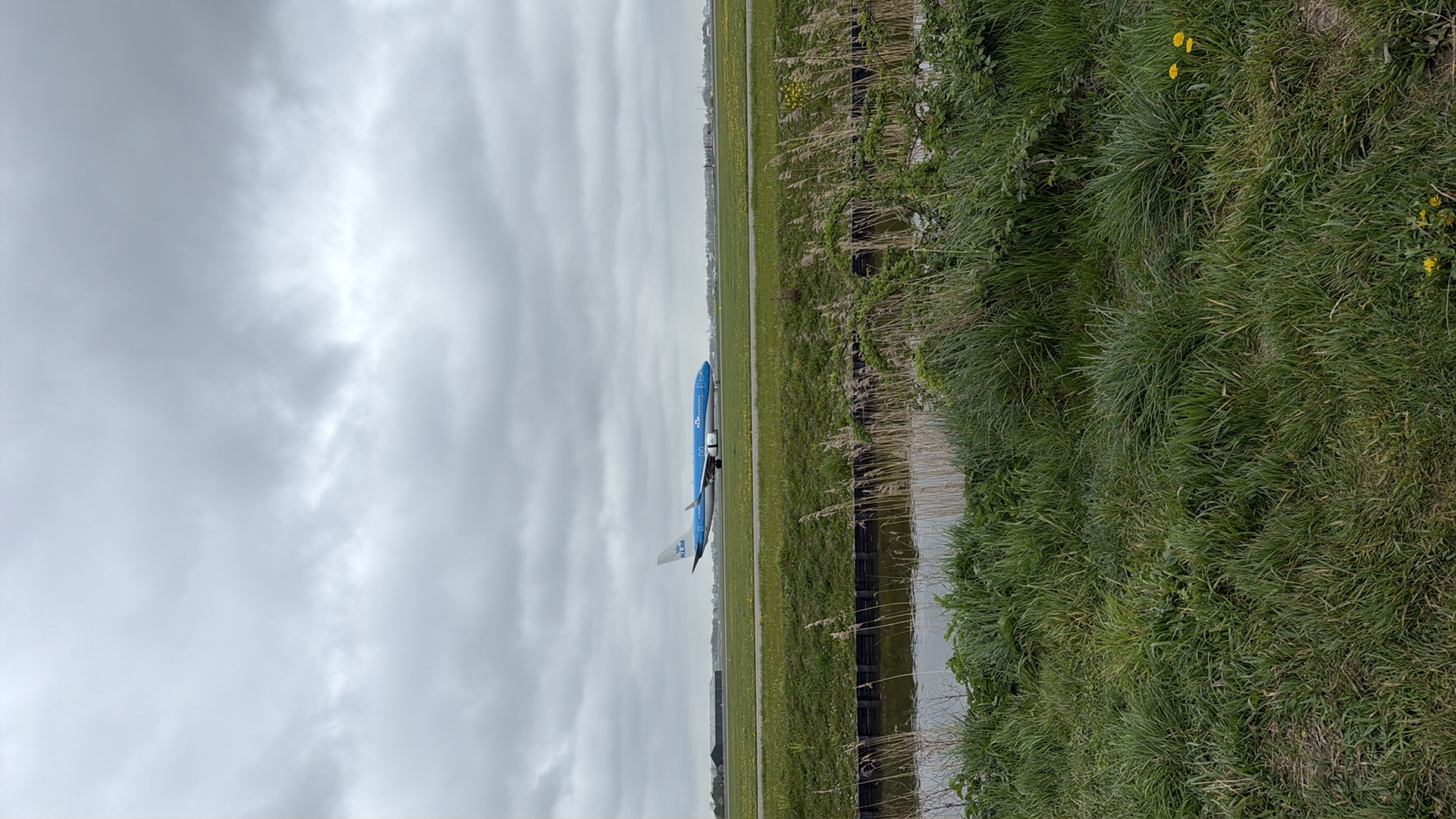 Spotting