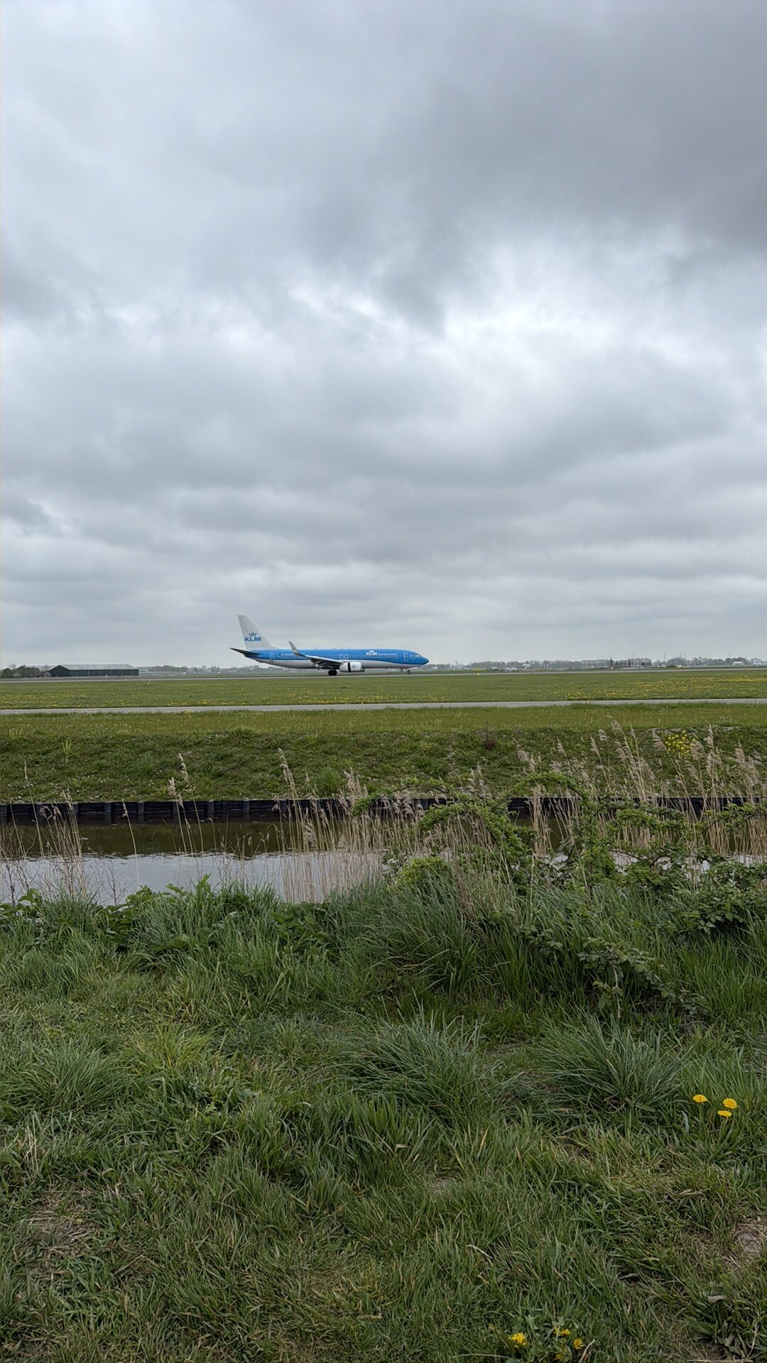 Boeing 737-800