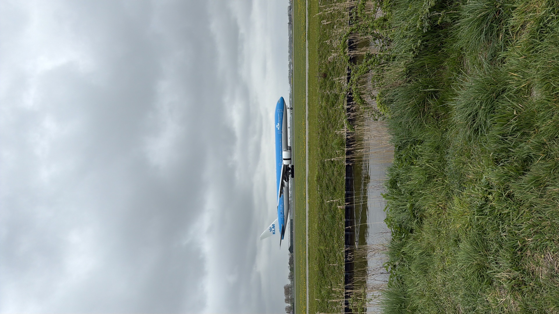 Spotting