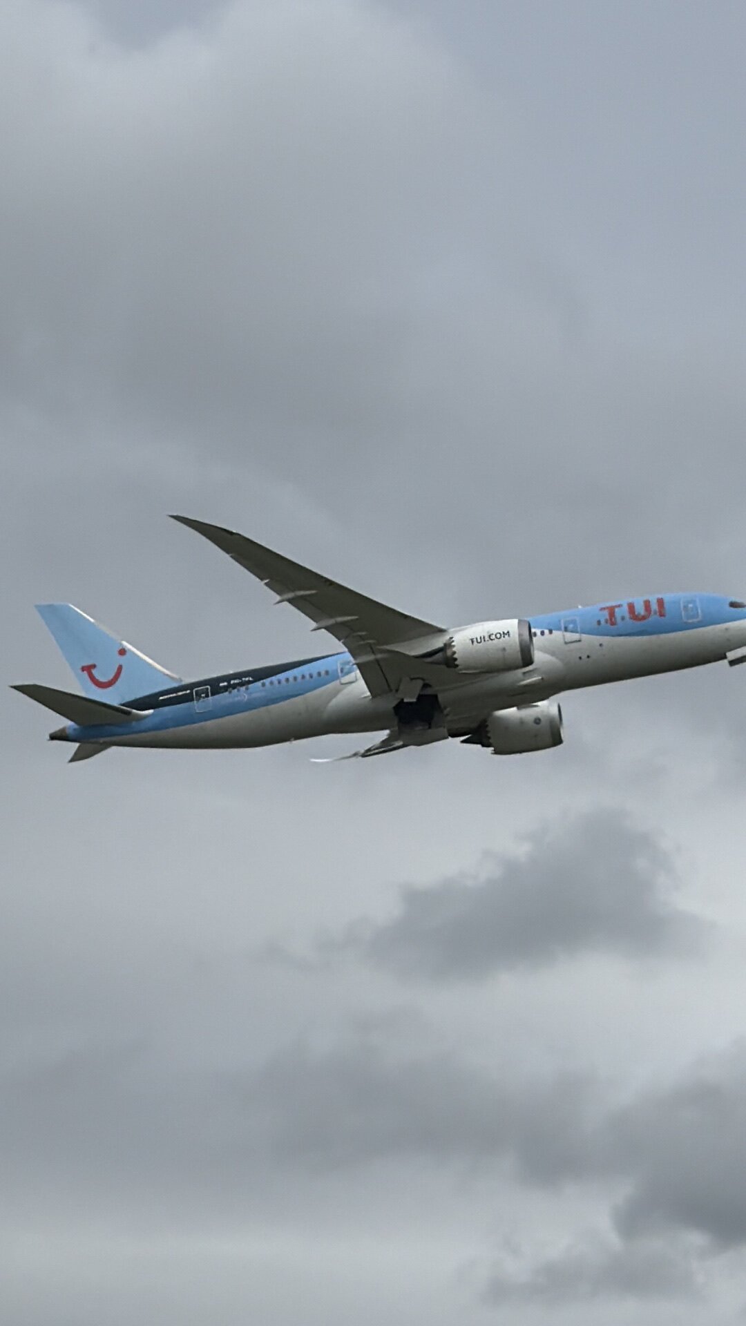 Boeing 787-8 Dreamliner