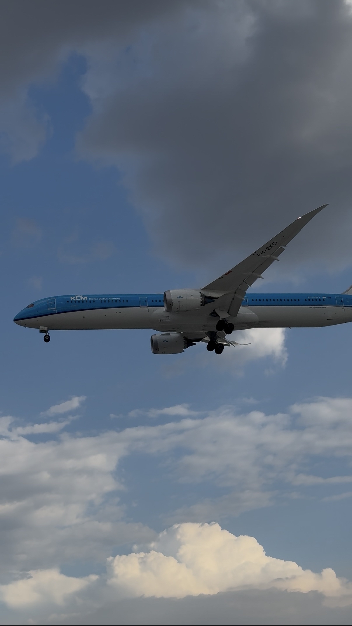 Spotting
