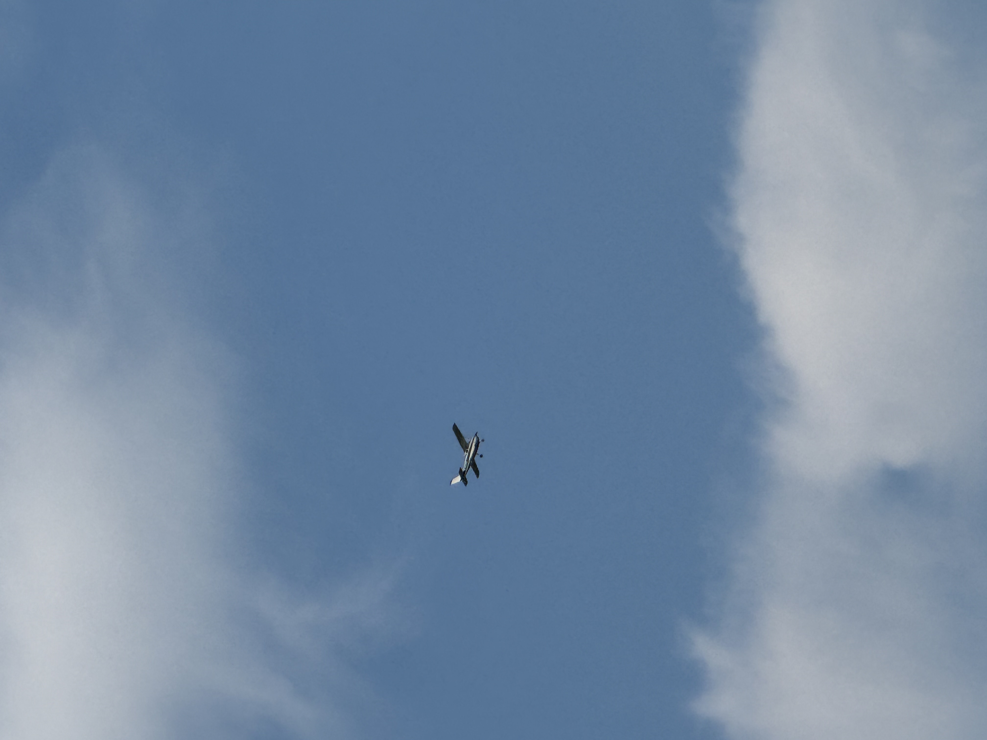 Spotting