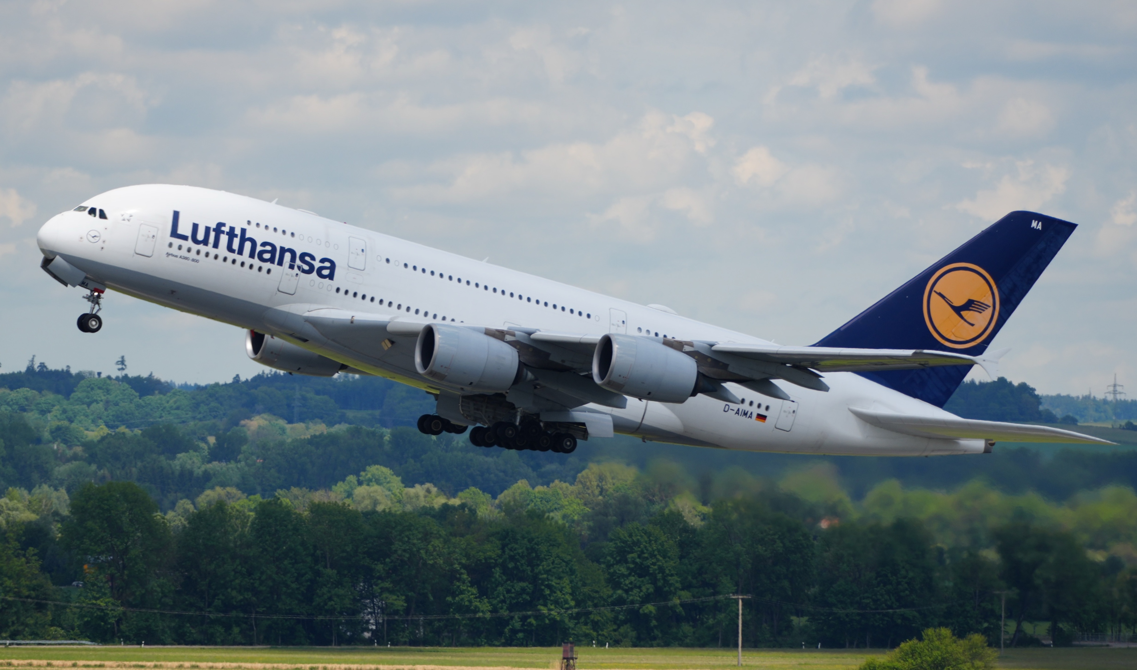 Spotting