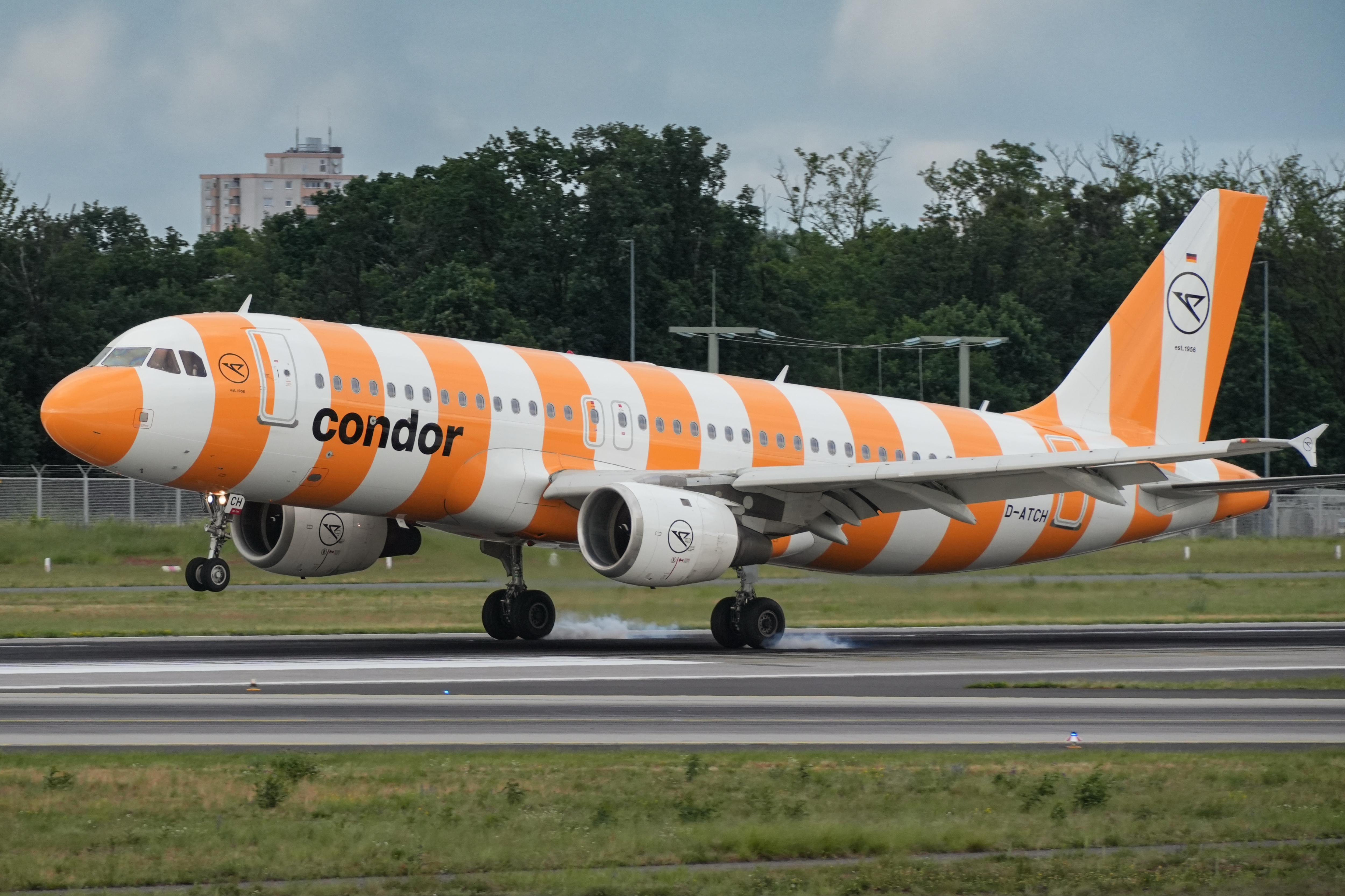 Spotting