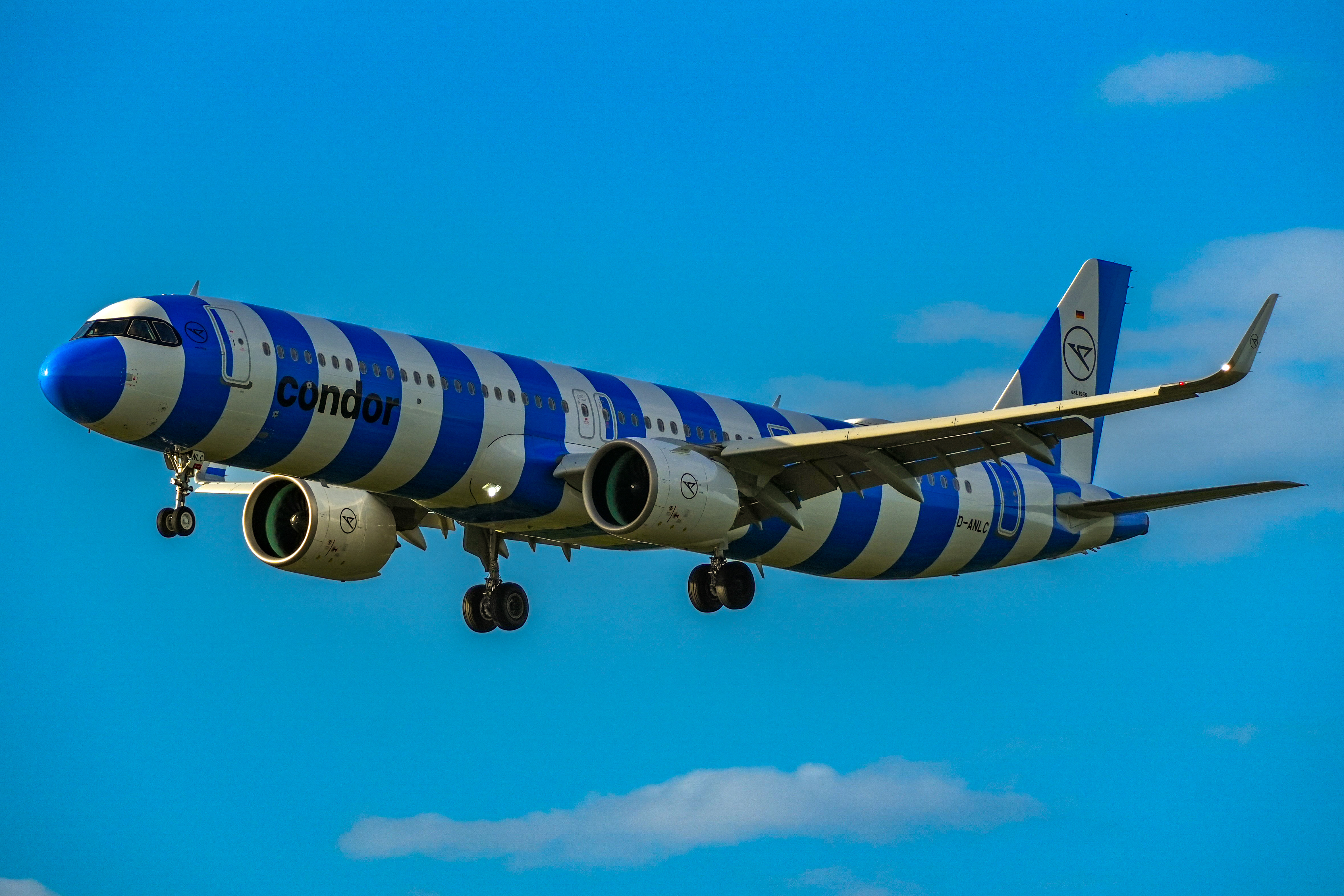 Spotting