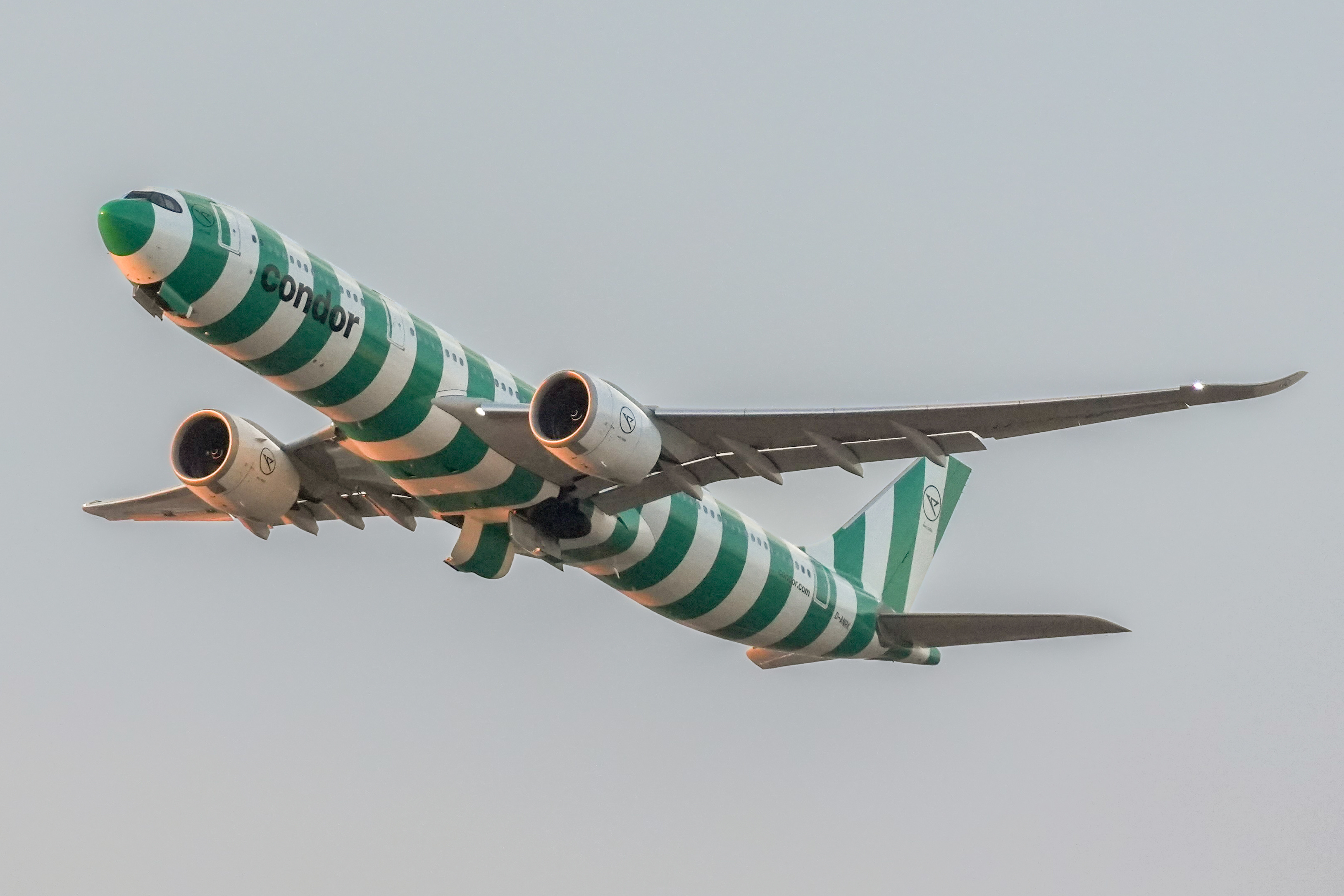 Spotting