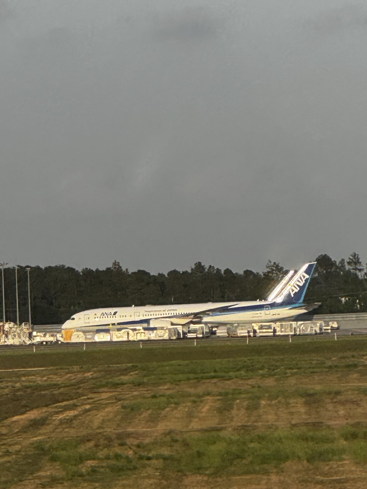 Spotting