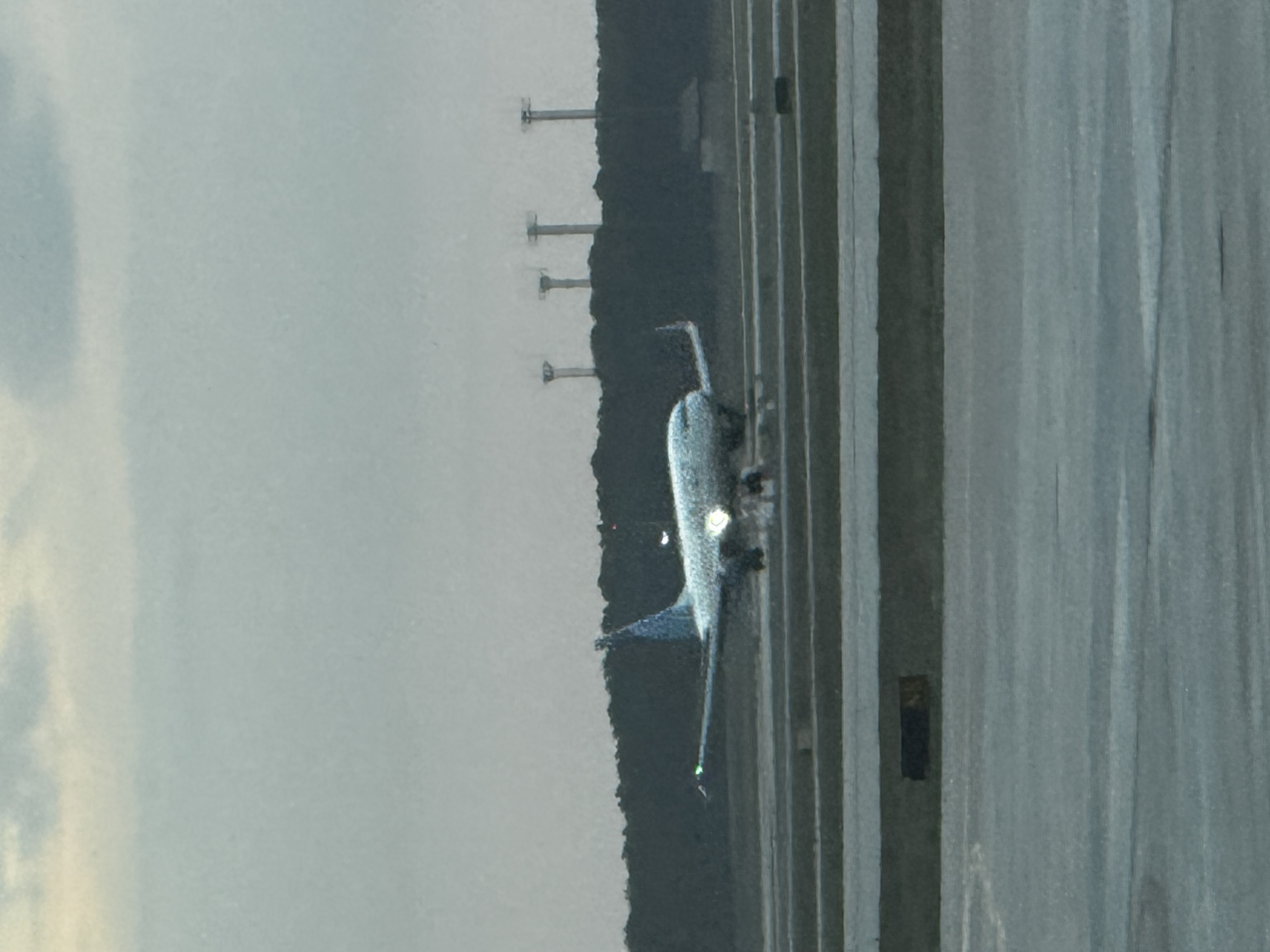 Spotting