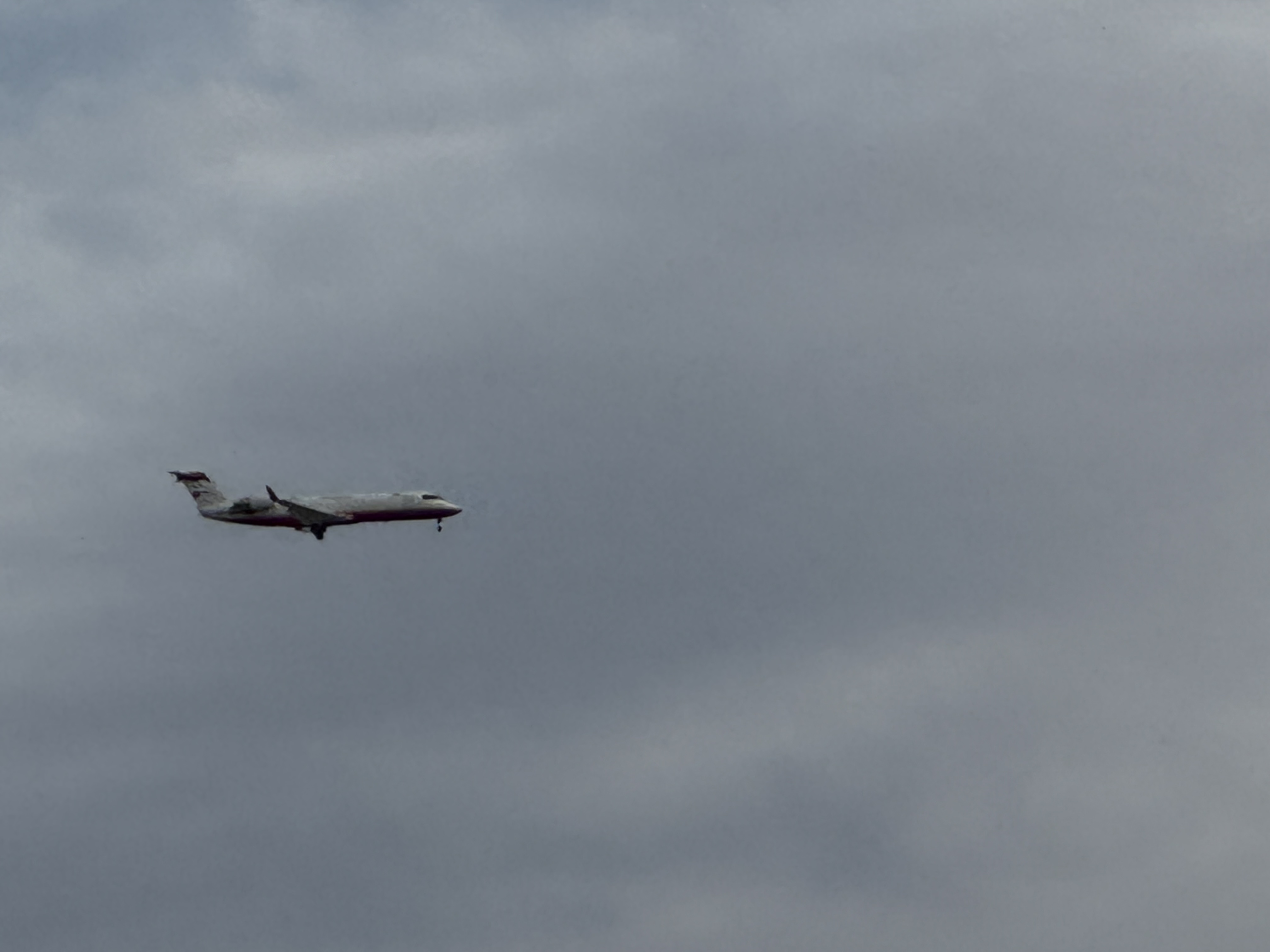 Spotting