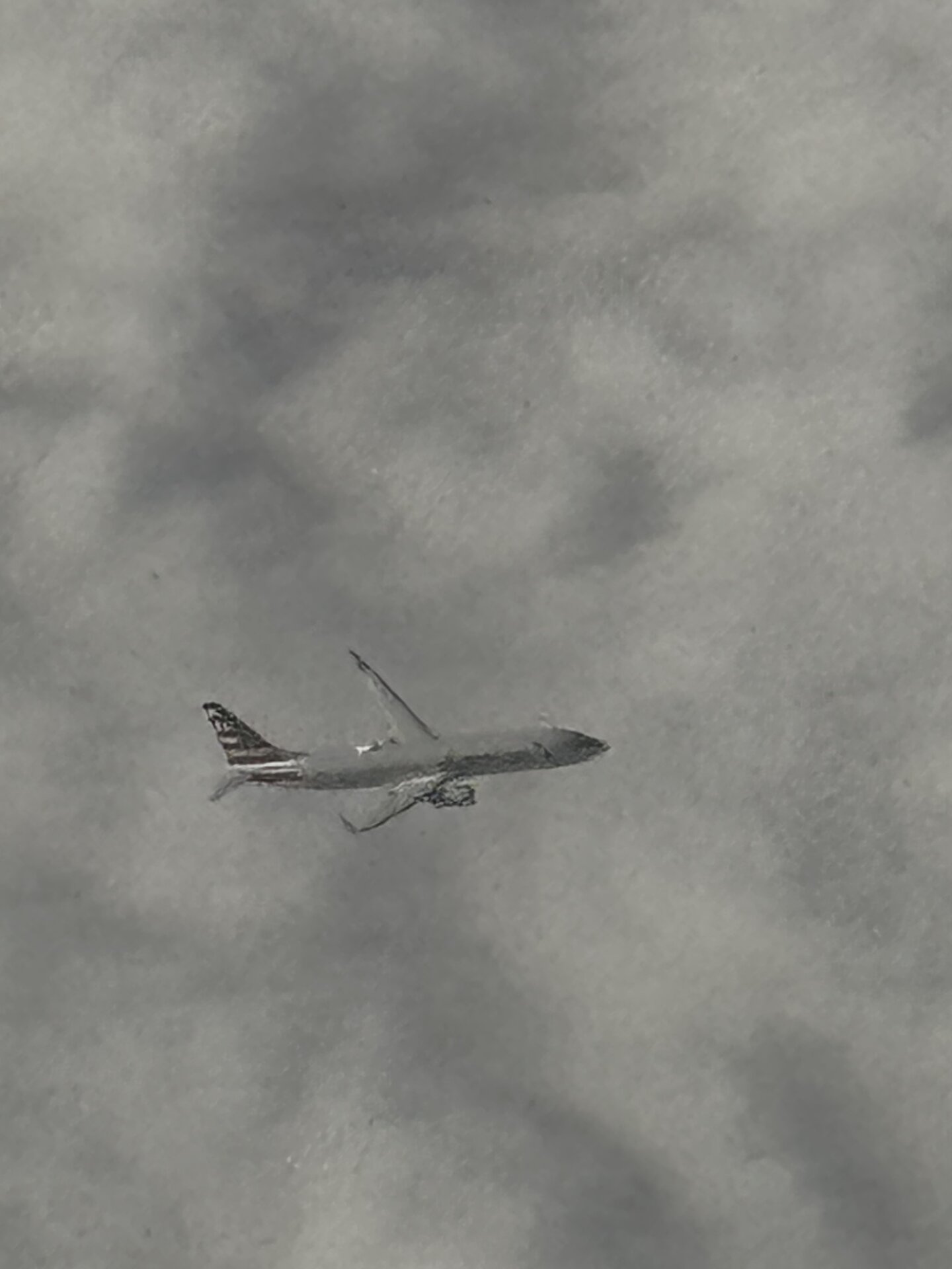 Boeing 737-800