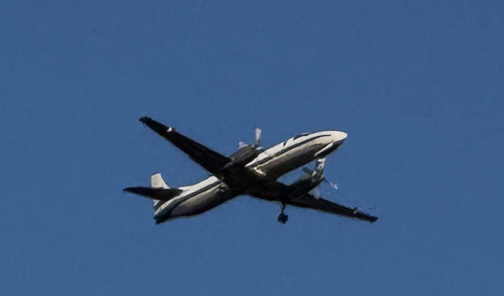 Spotting