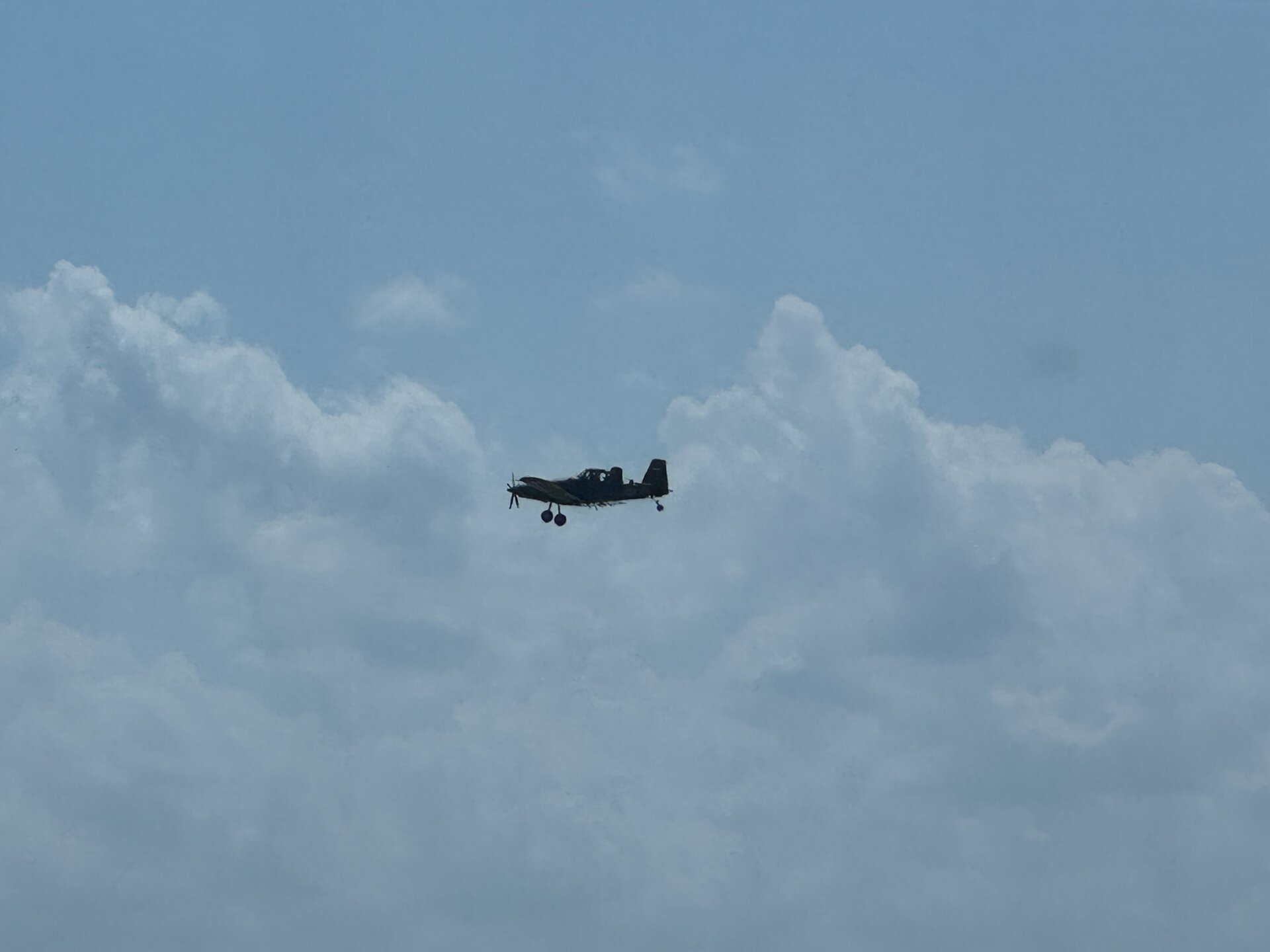 Spotting