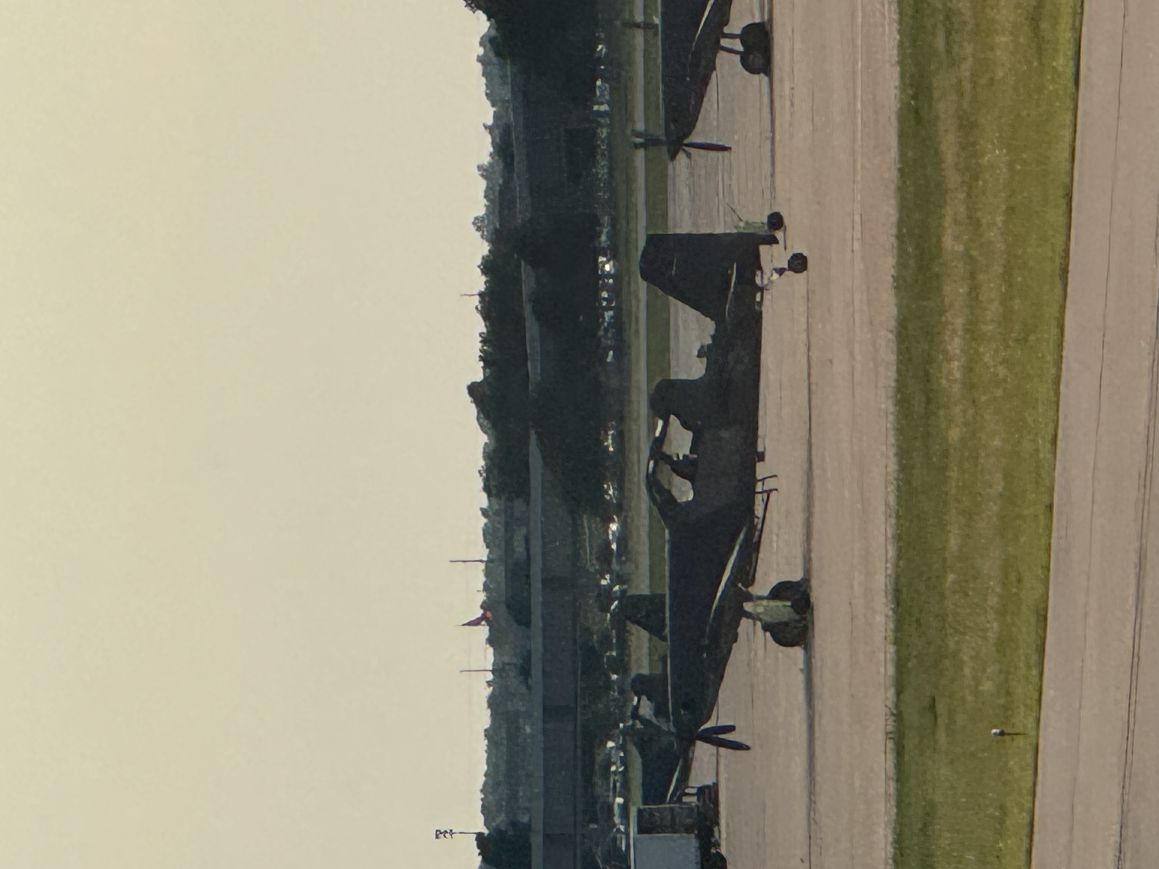 Spotting