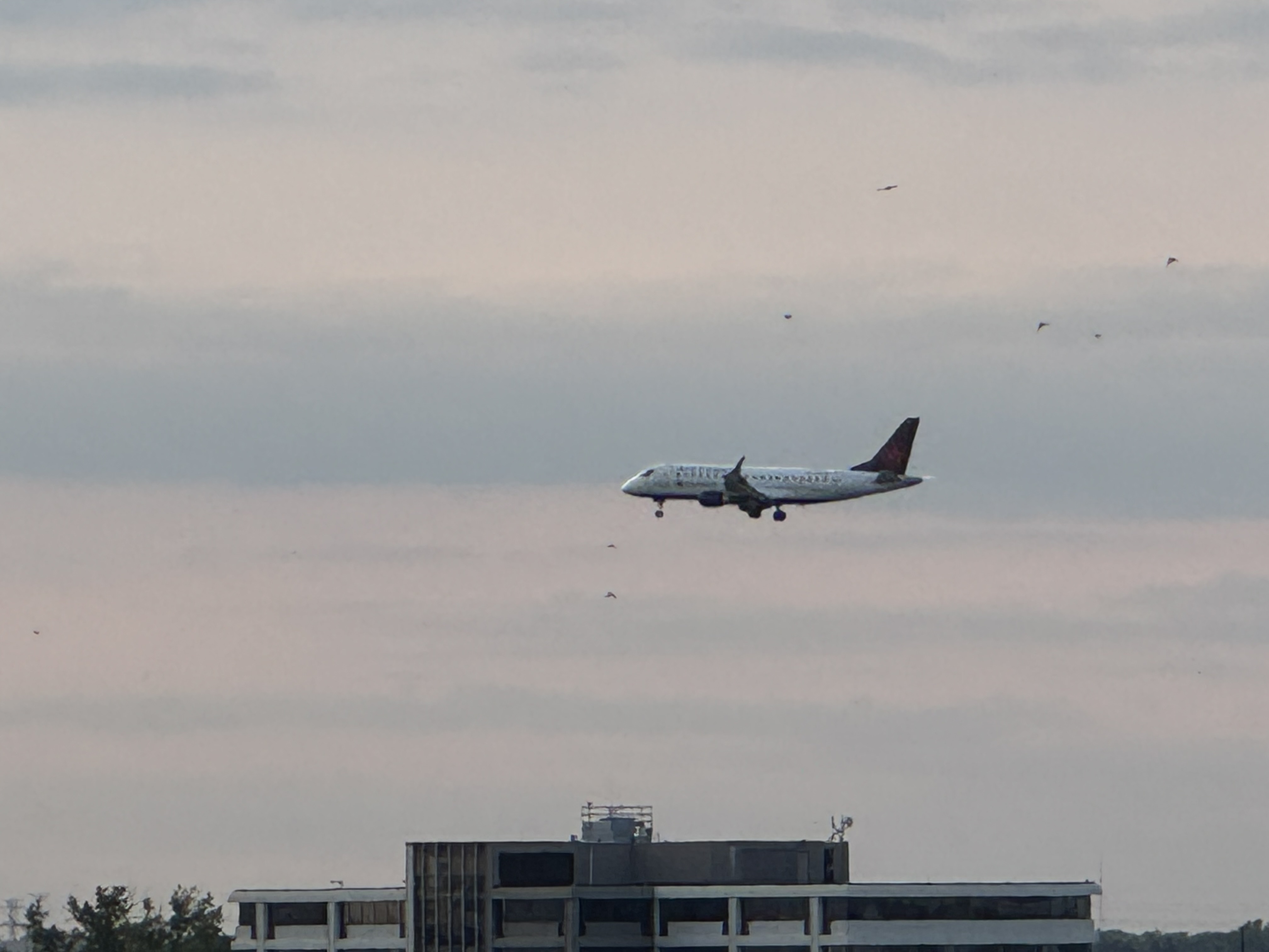 Spotting