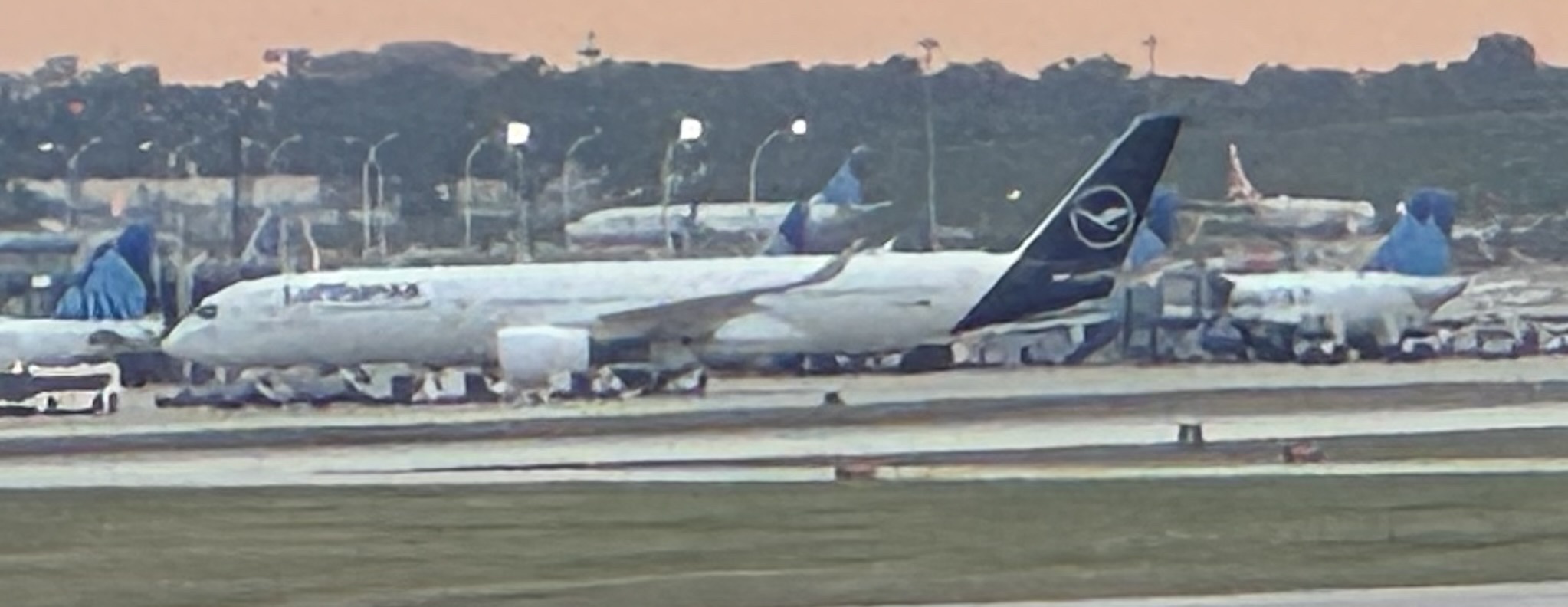 Spotting