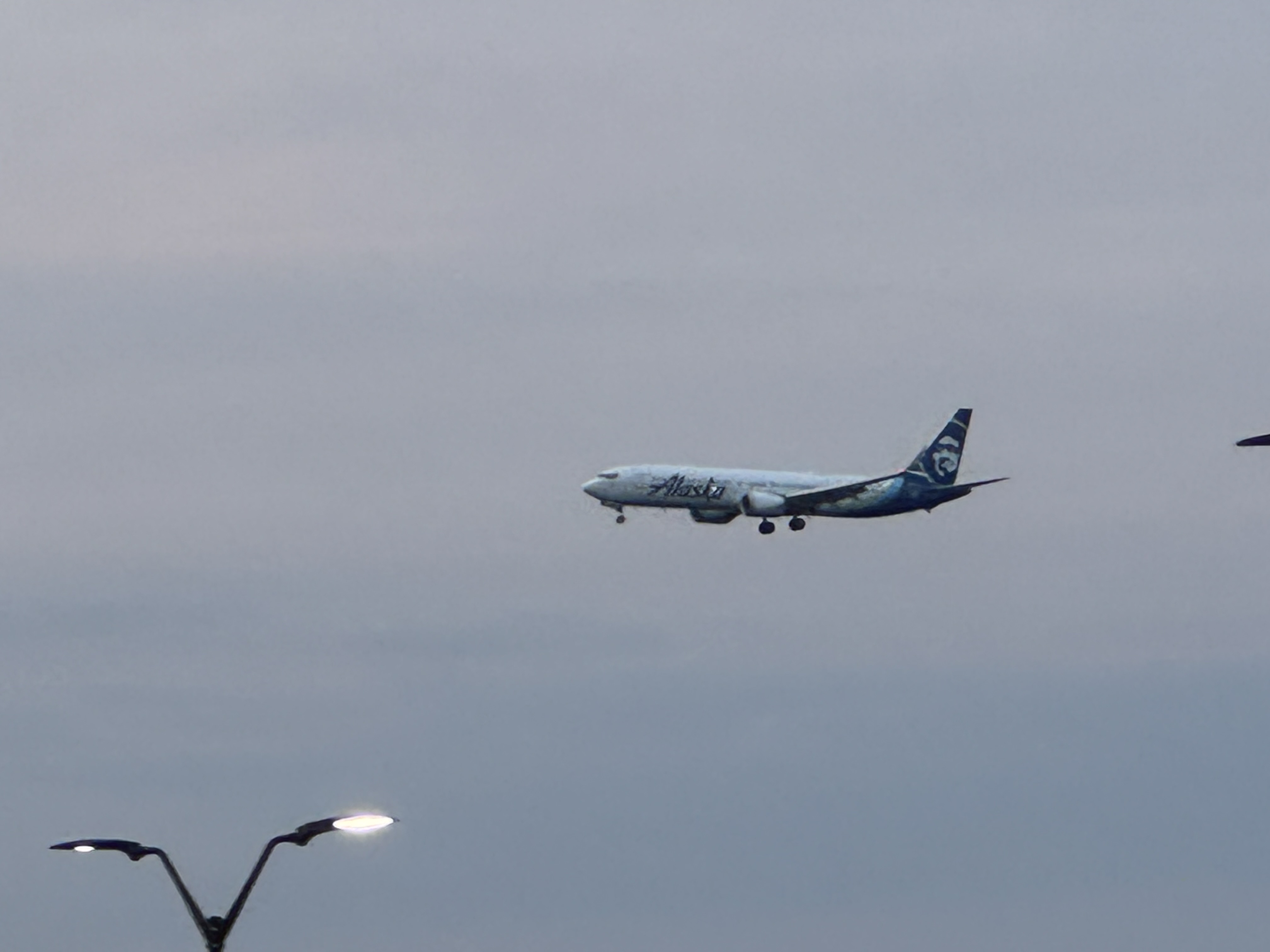 Spotting