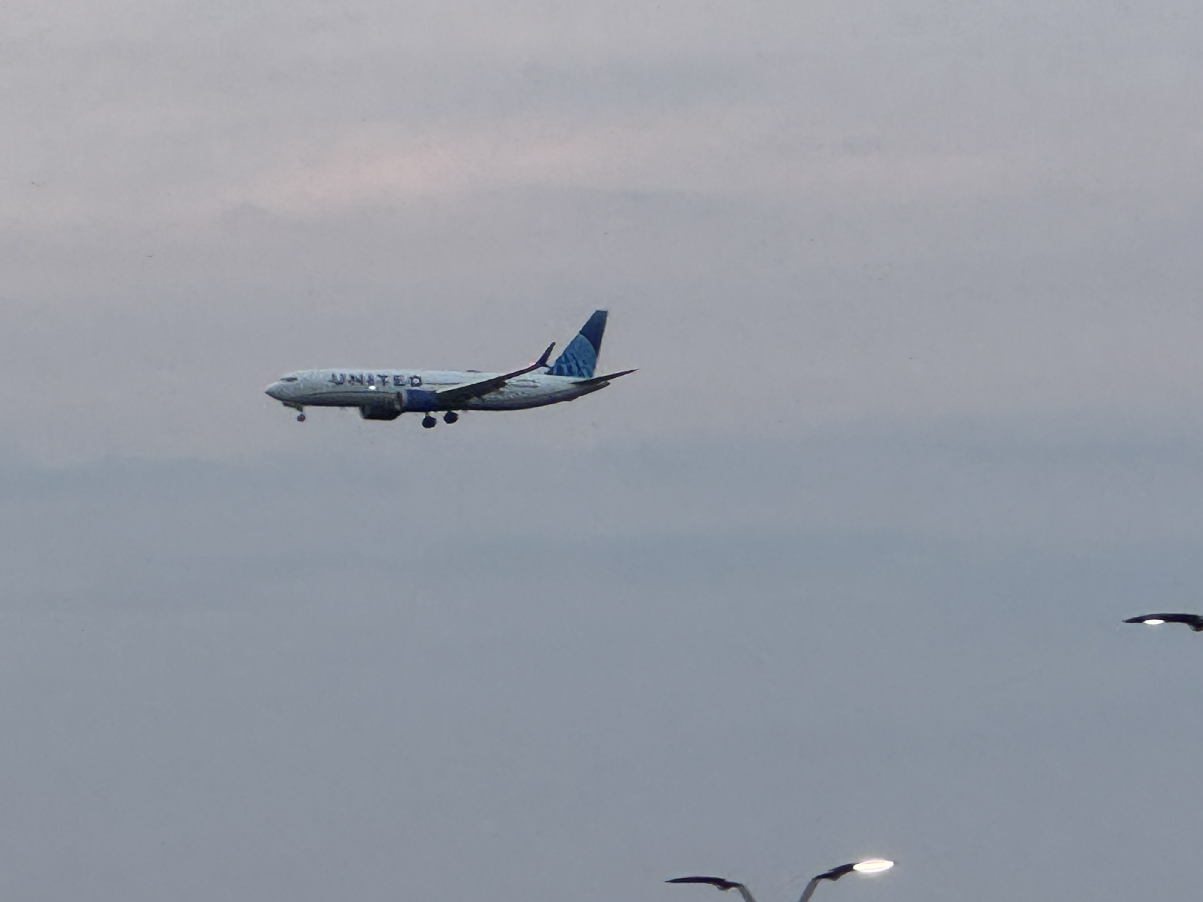 Spotting