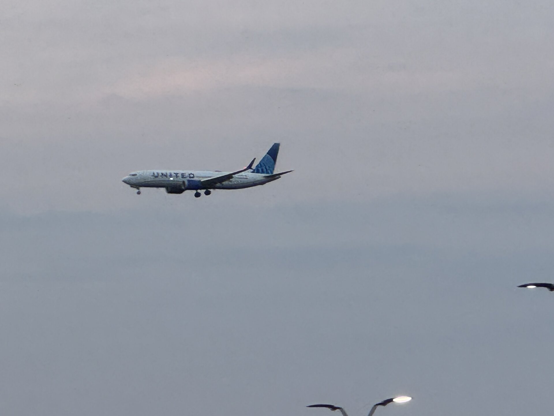 Boeing 737-800