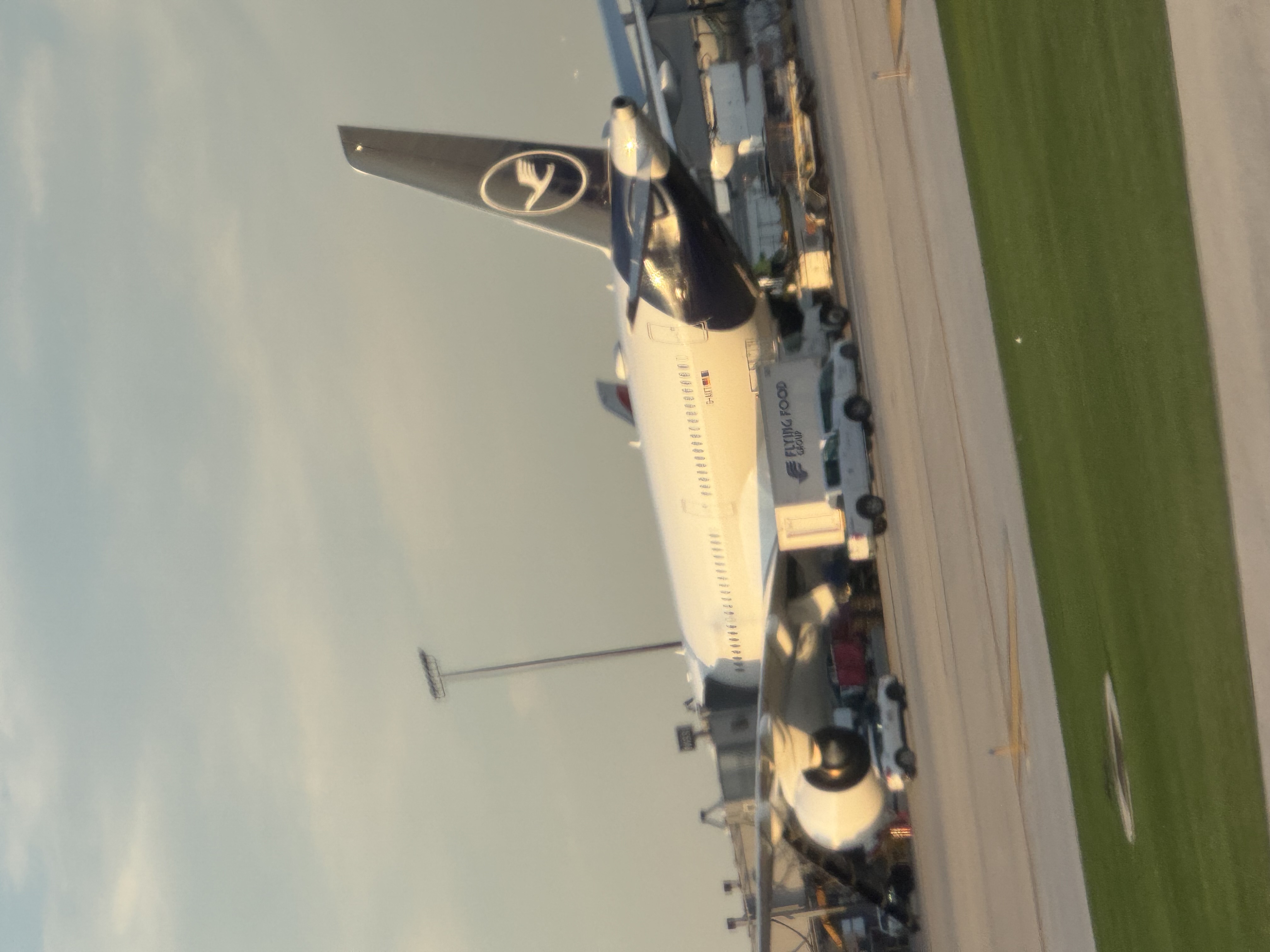 Spotting