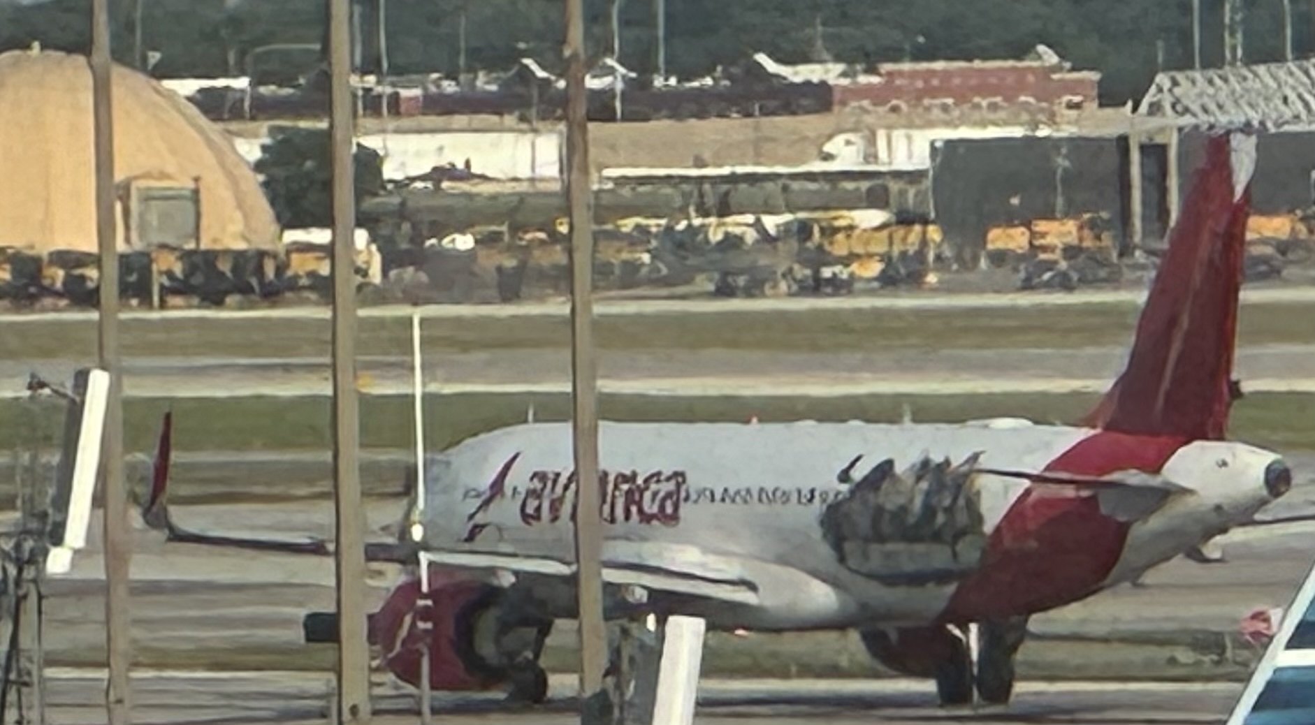 Spotting