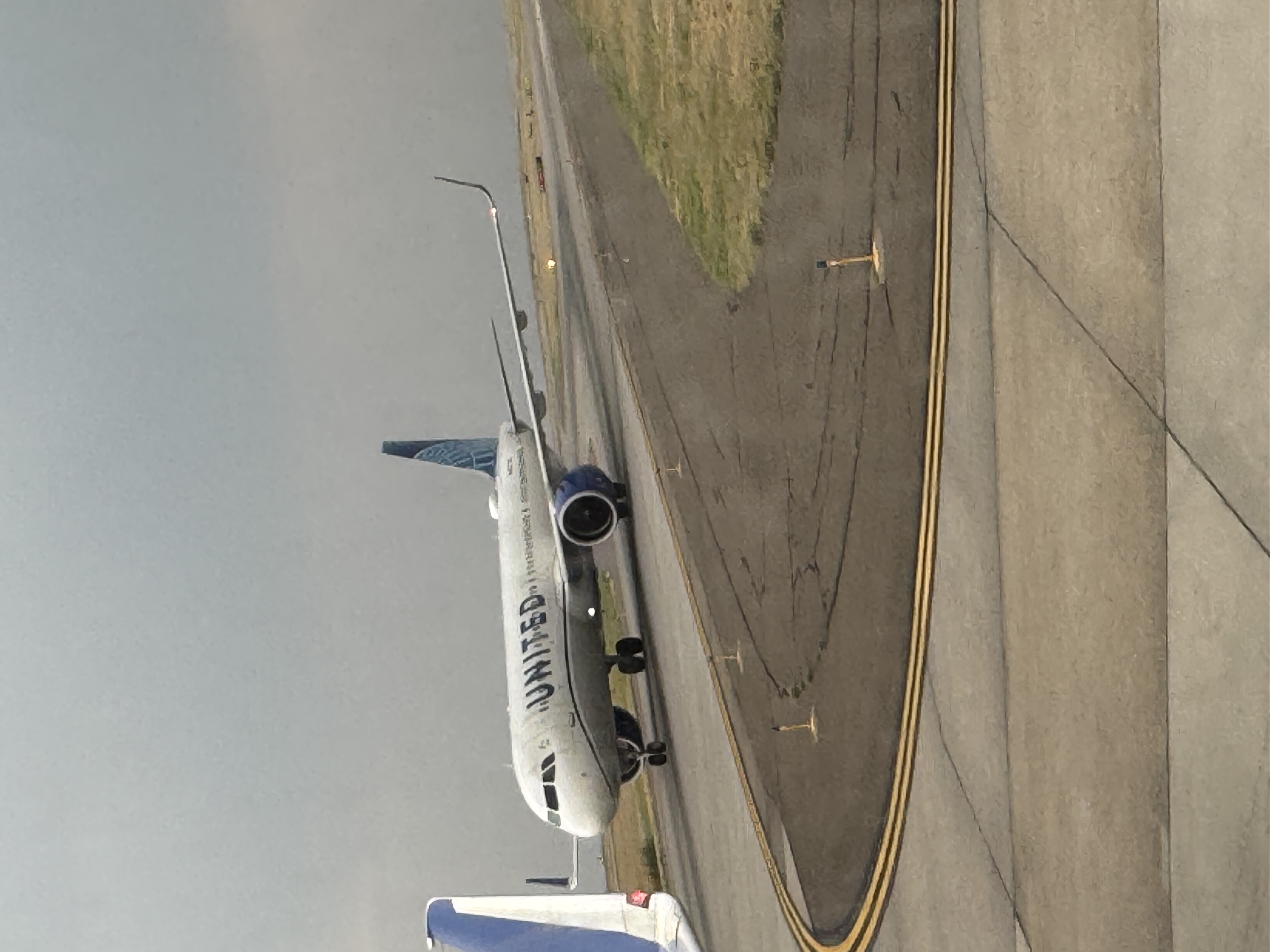 Spotting