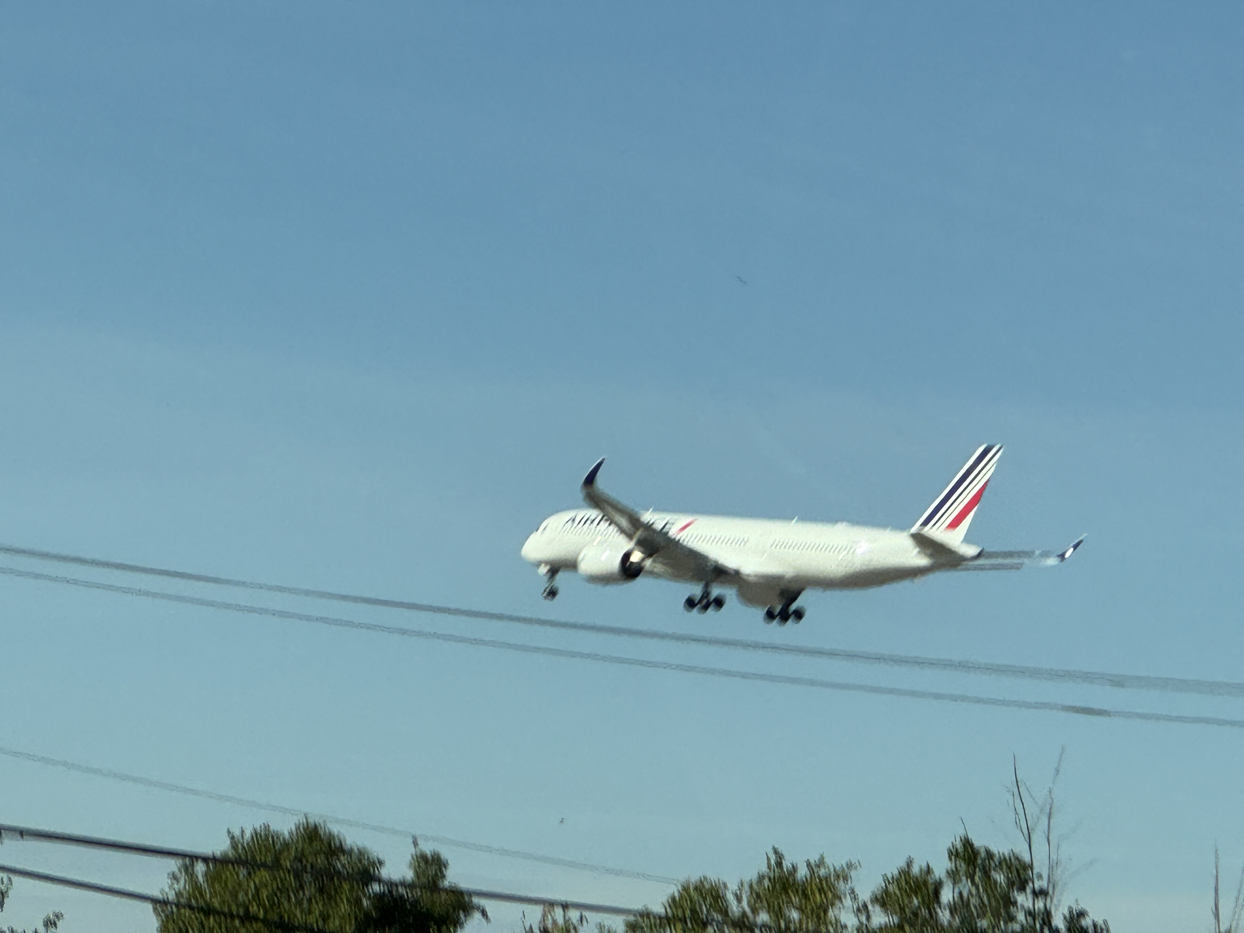 Spotting