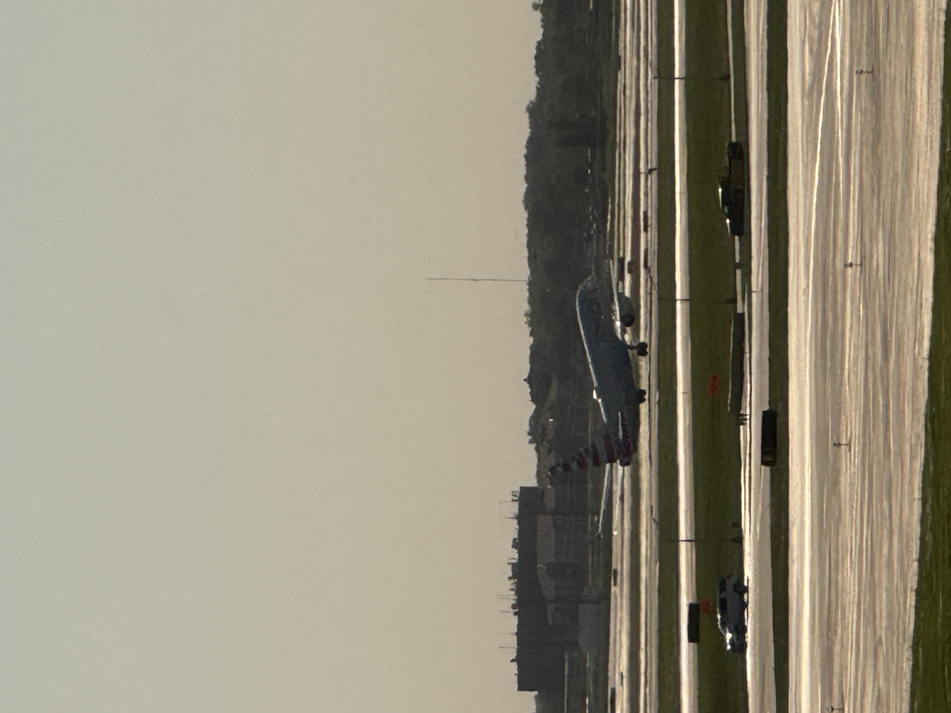 Spotting