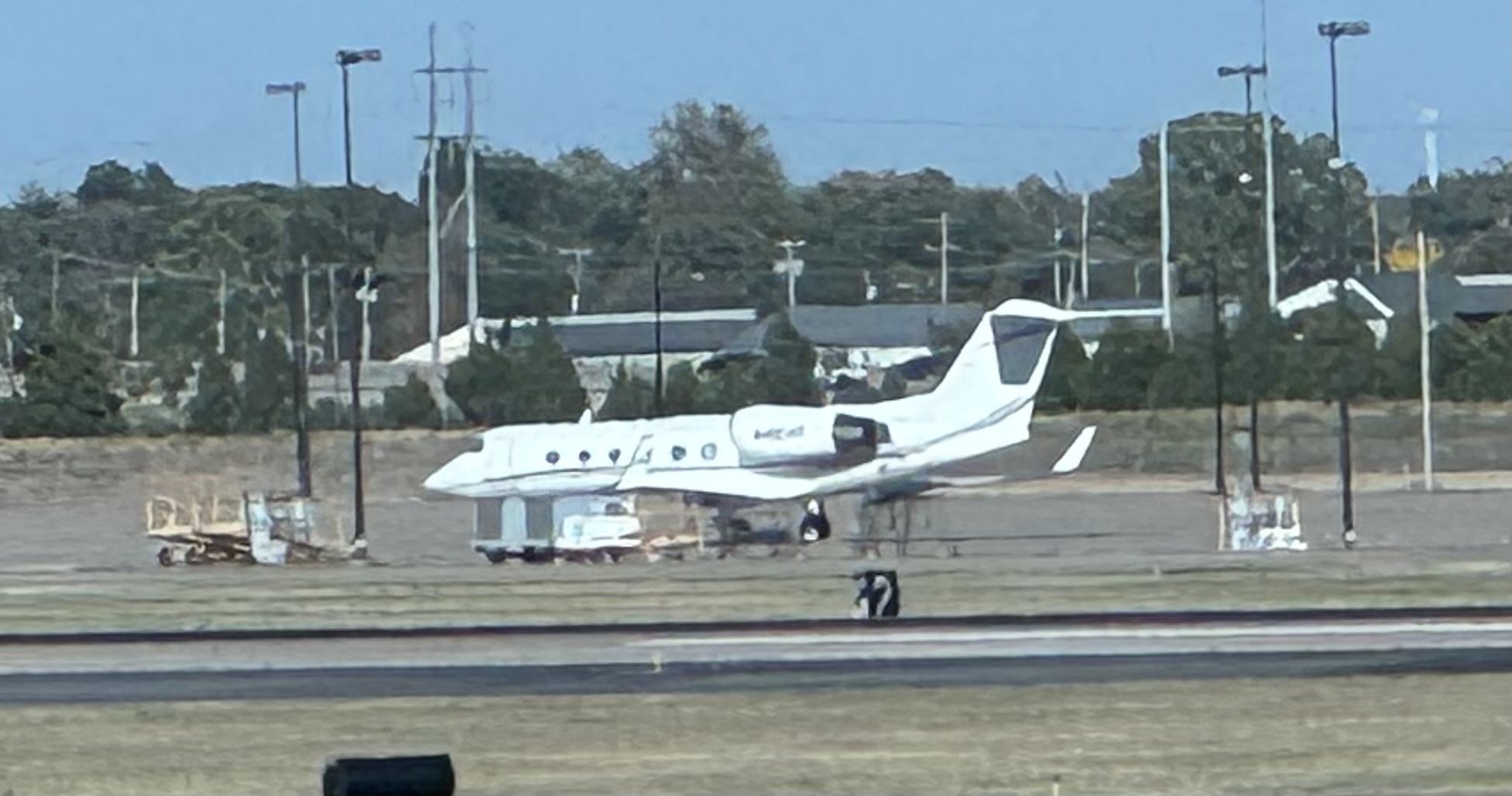 Spotting