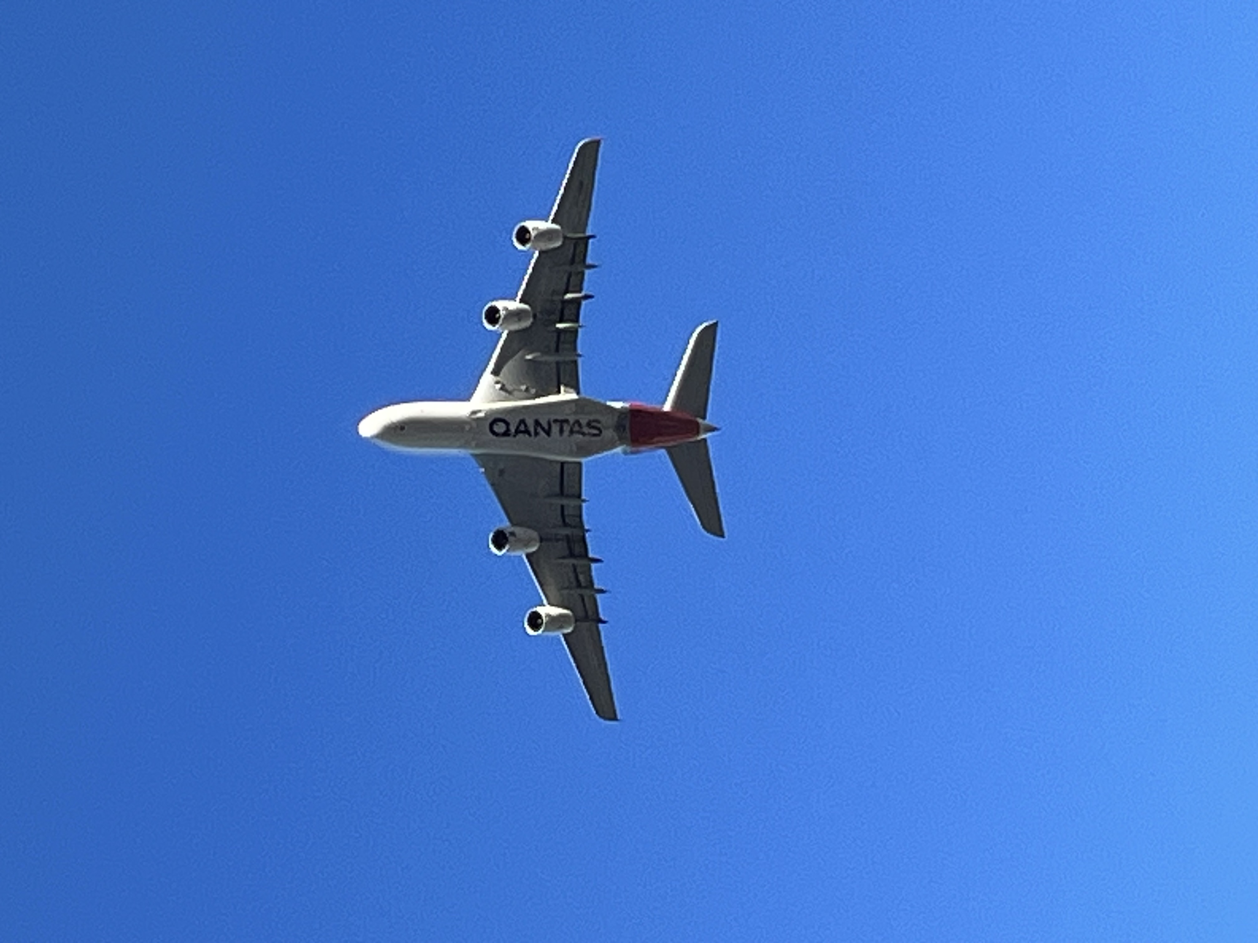 Spotting
