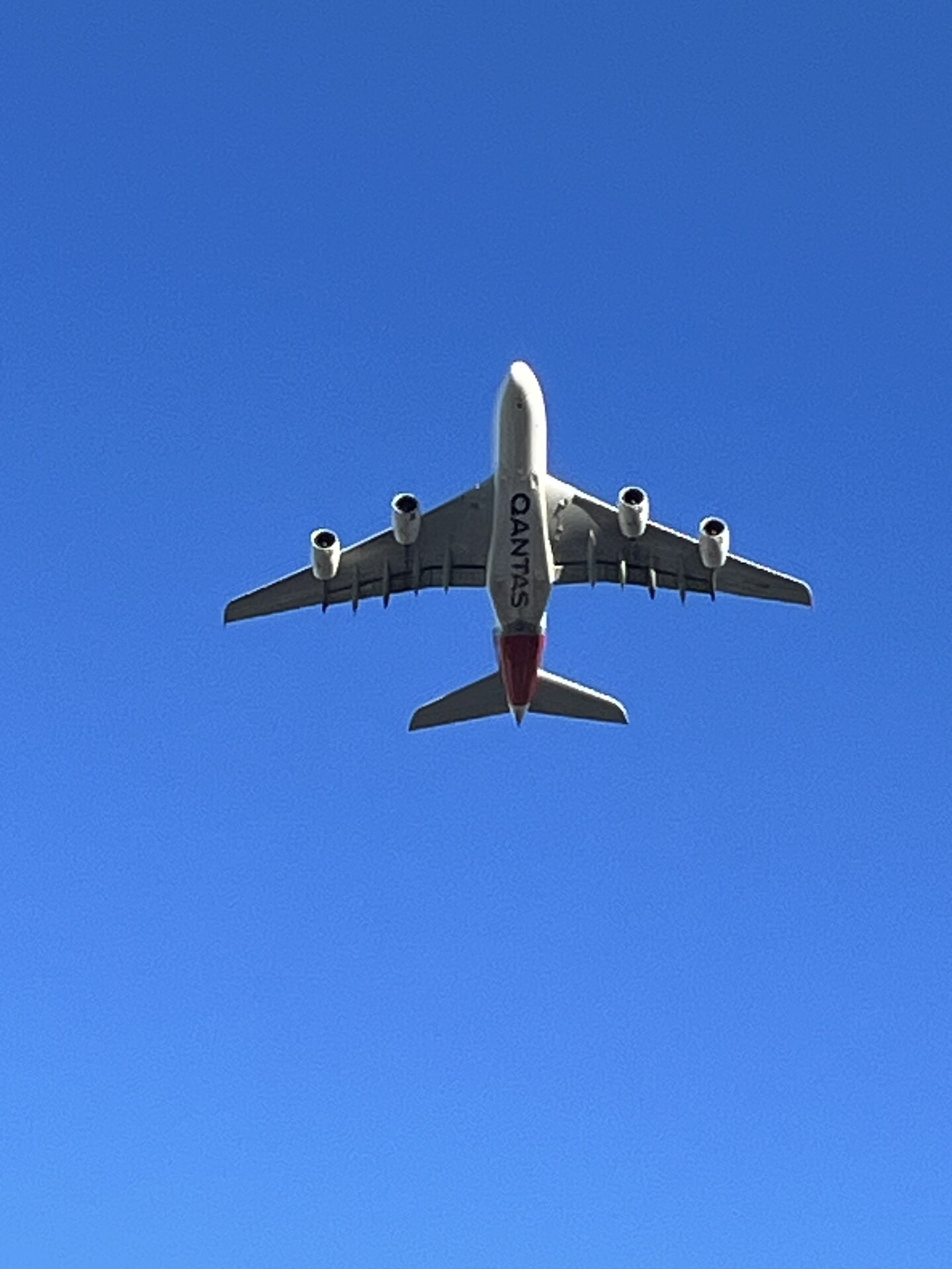 Spotting
