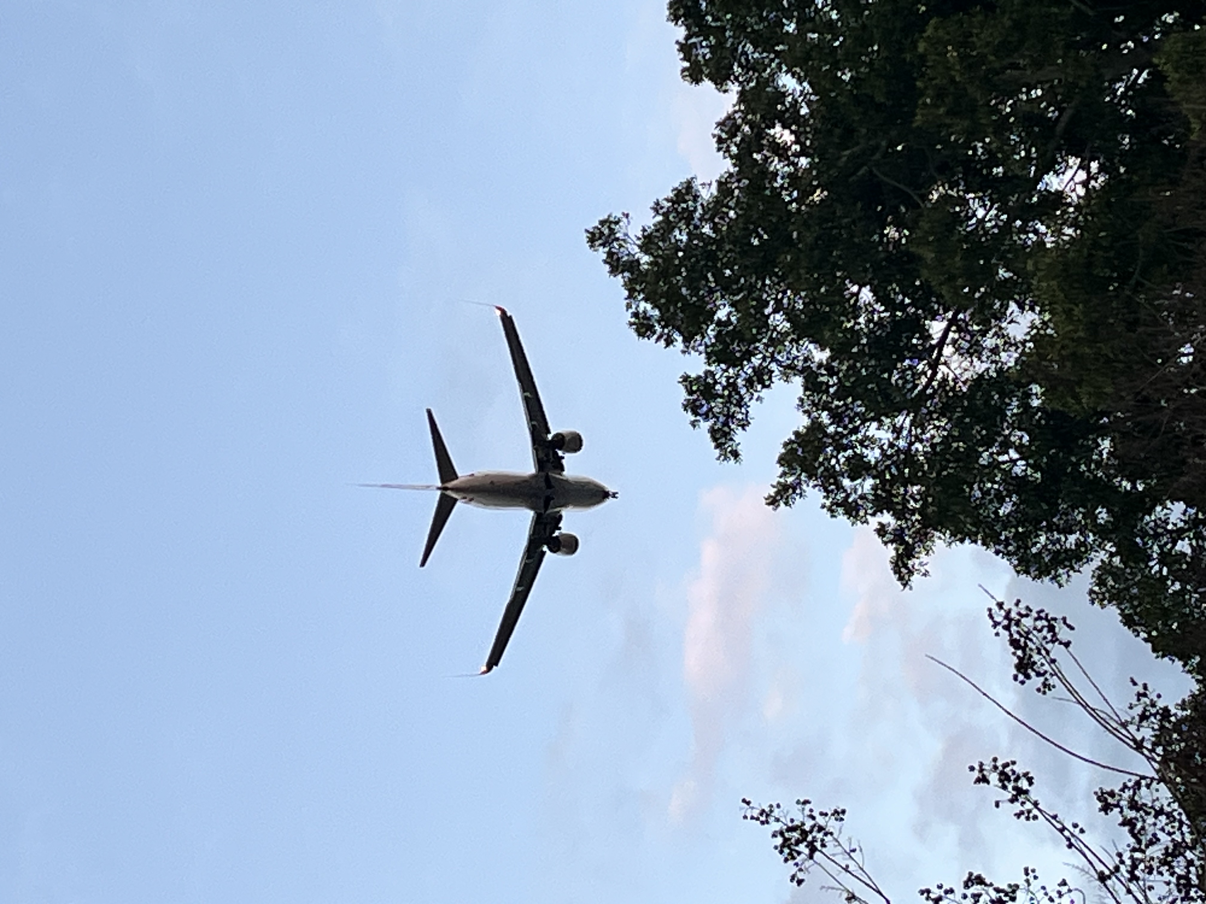 Spotting