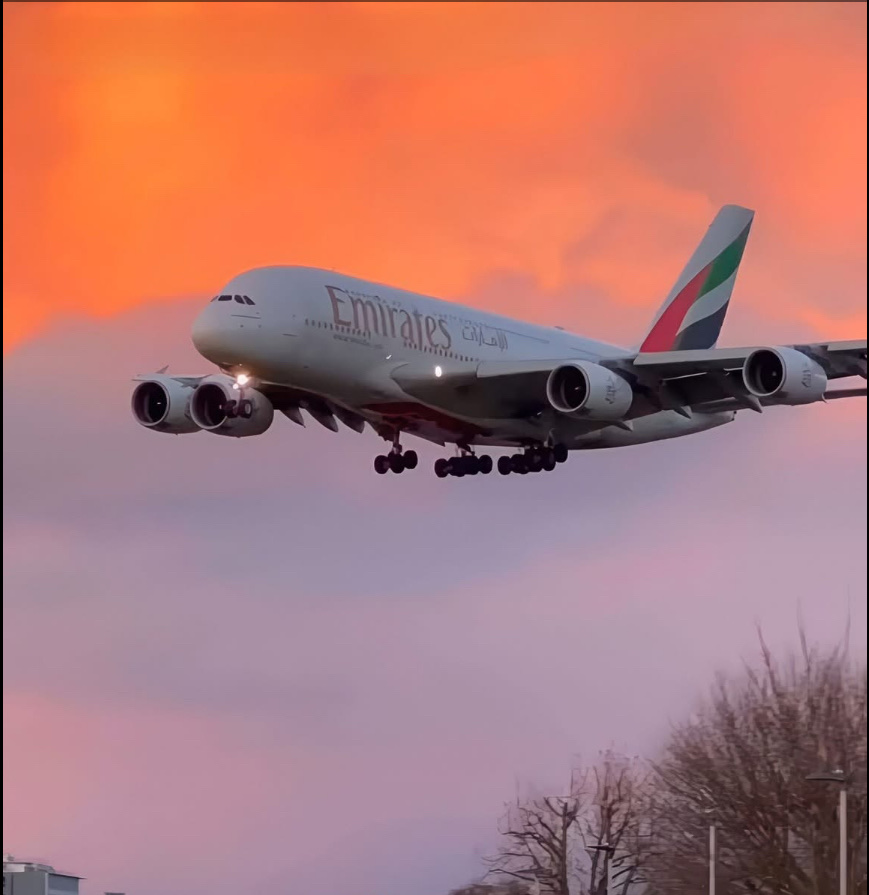 Spotting