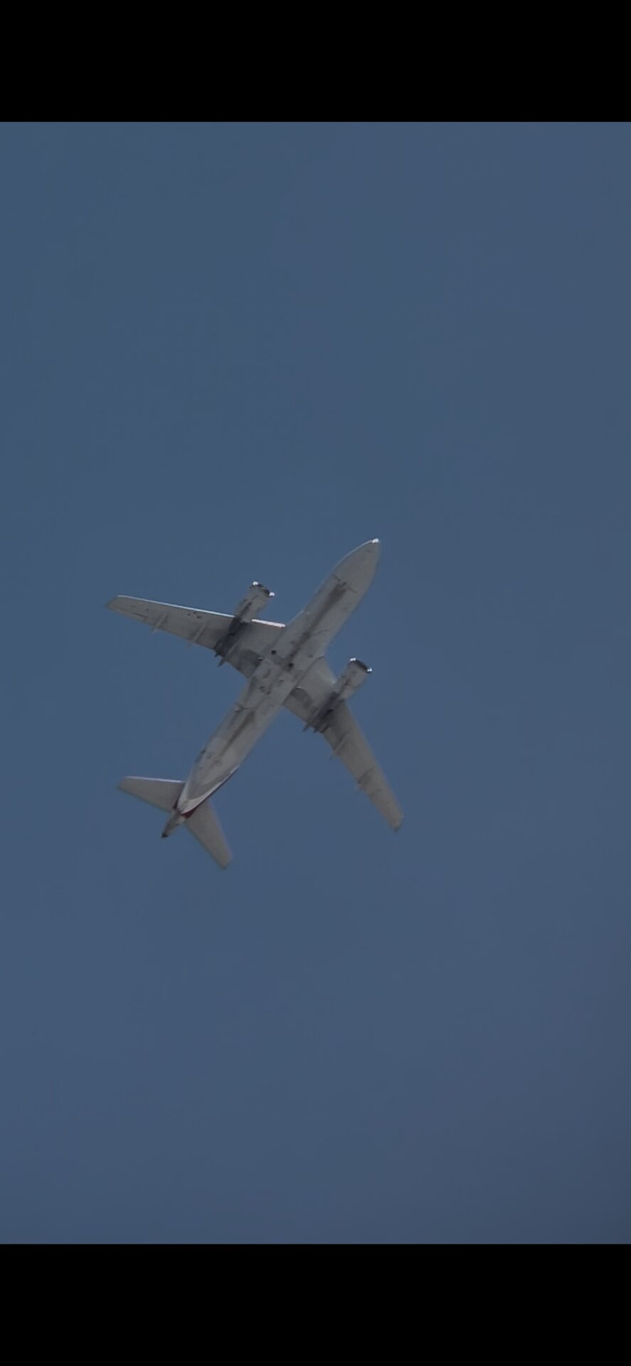 Airbus Airbus a319