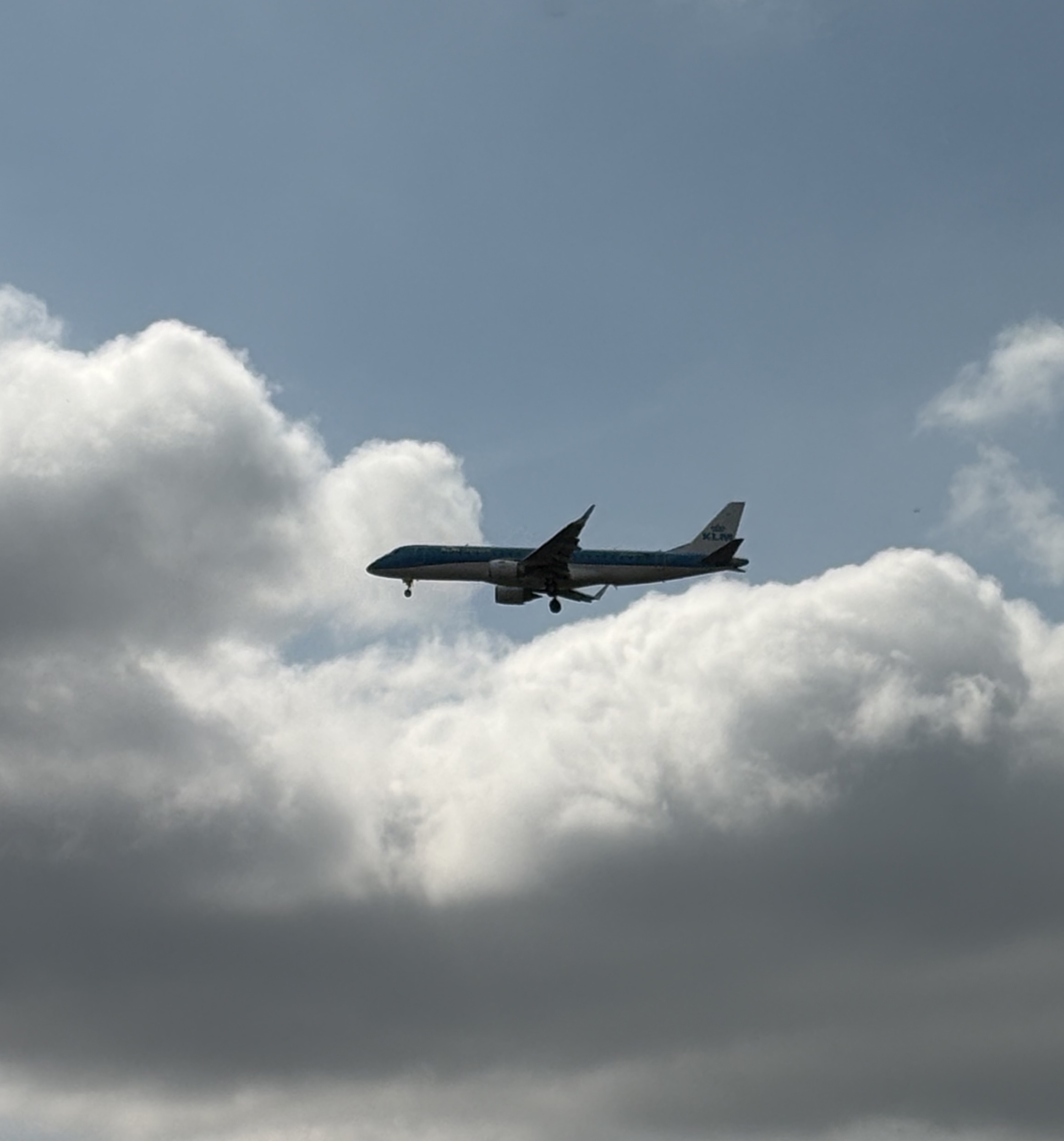 Spotting