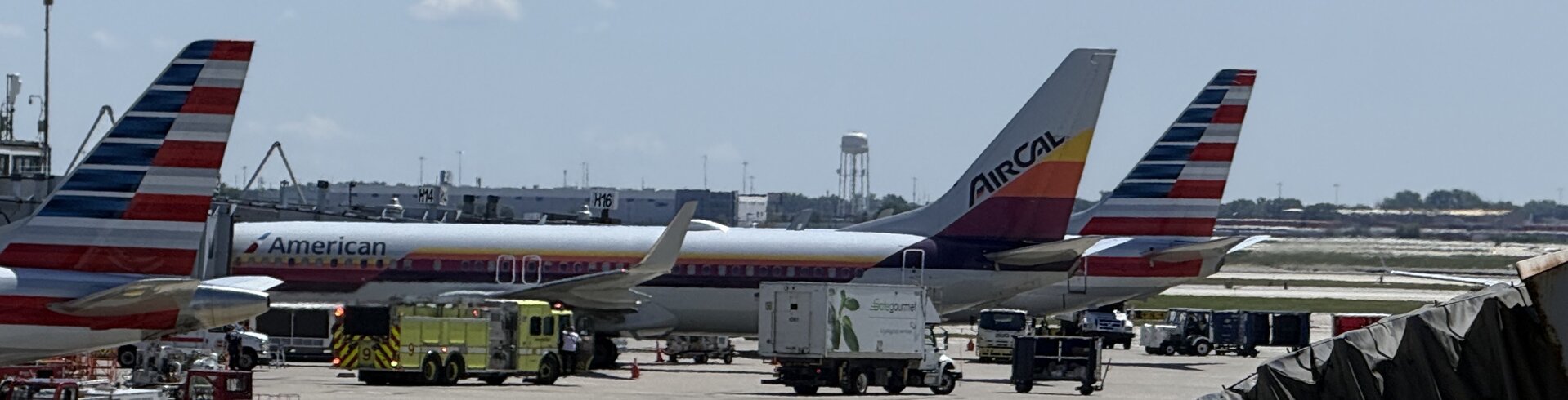 Boeing 737-800