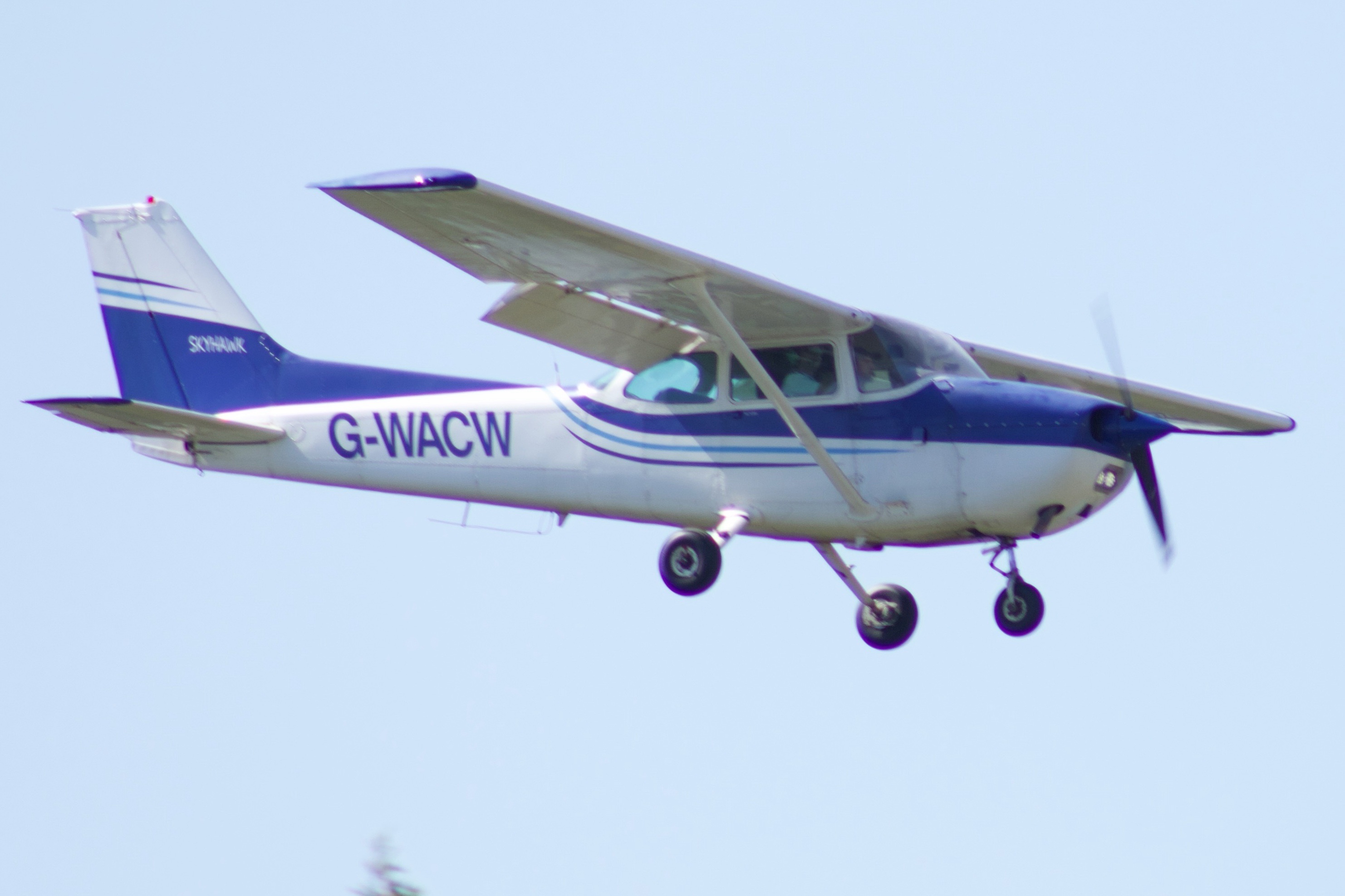 Spotting