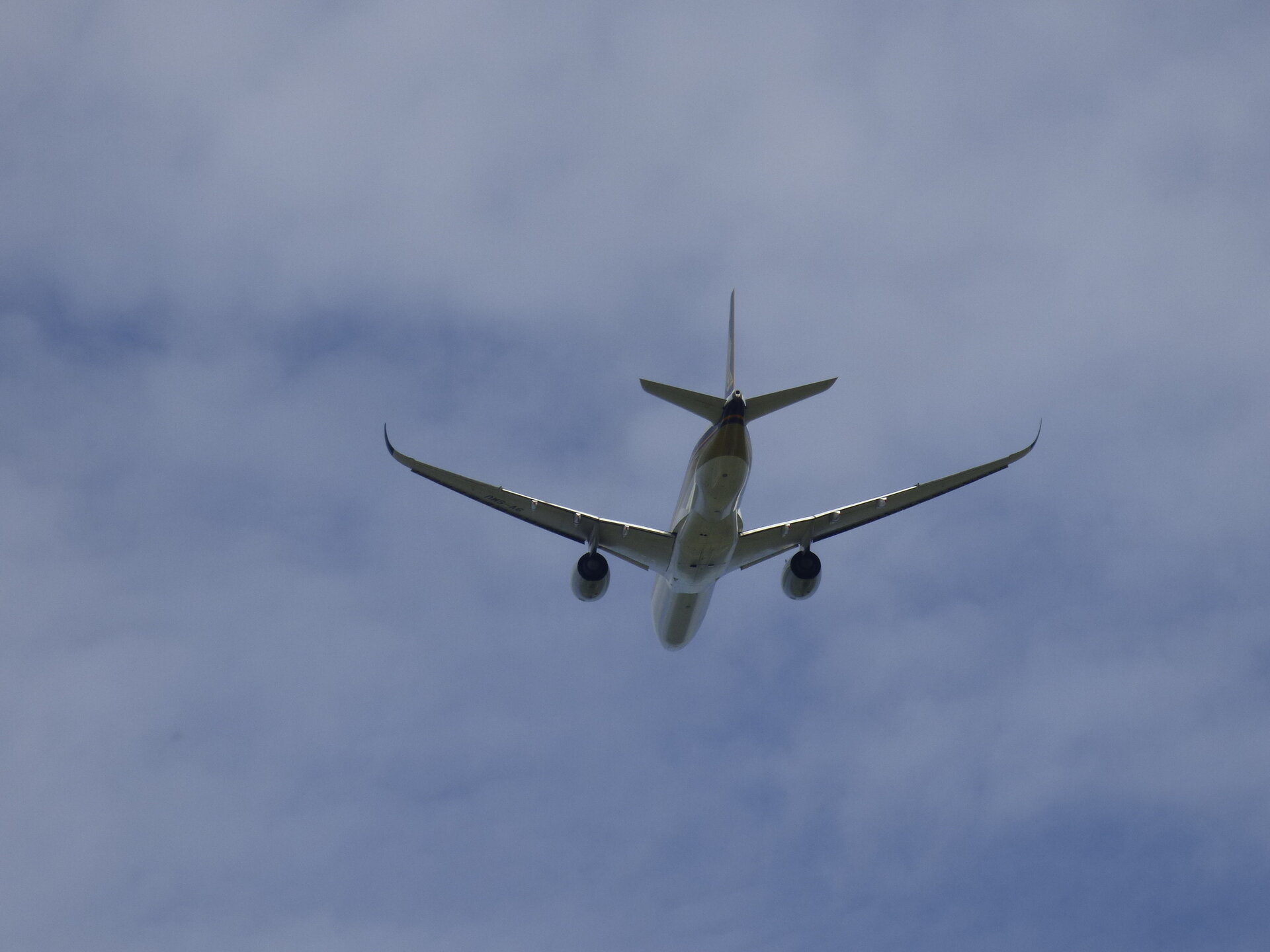 Spotting