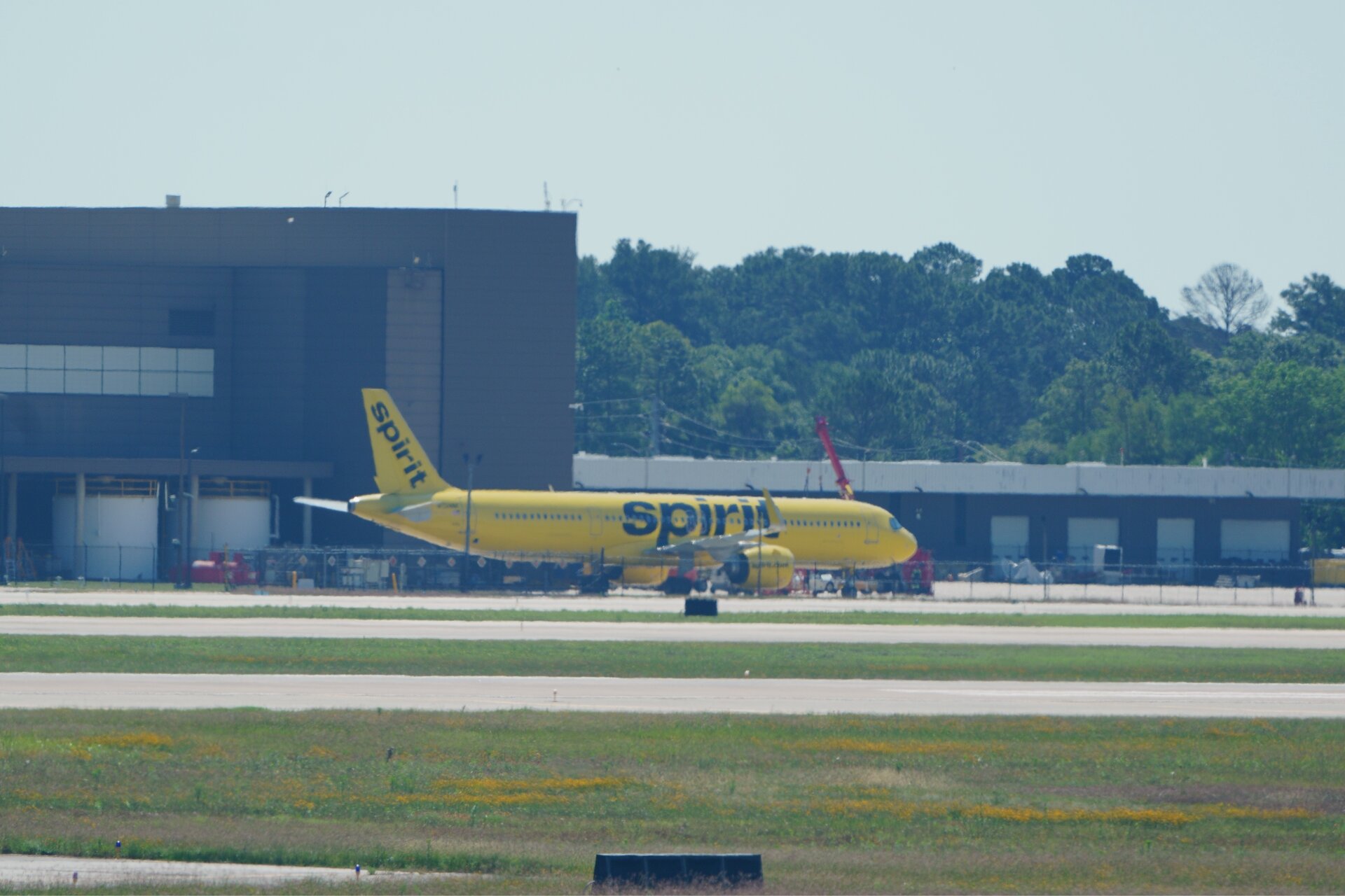 Spotting