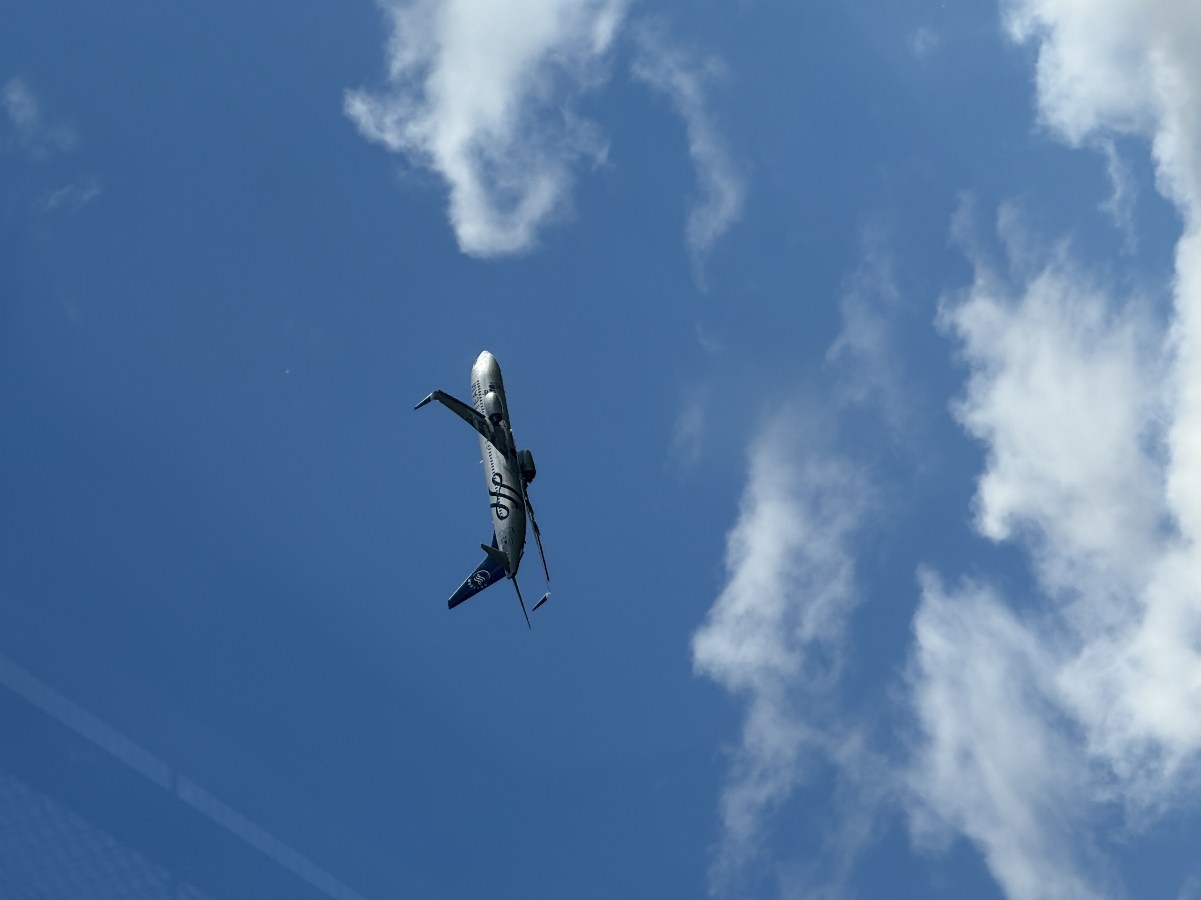 Spotting