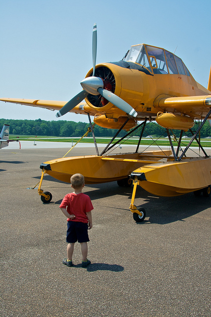 Air Tractor AT-802F Fire Boss