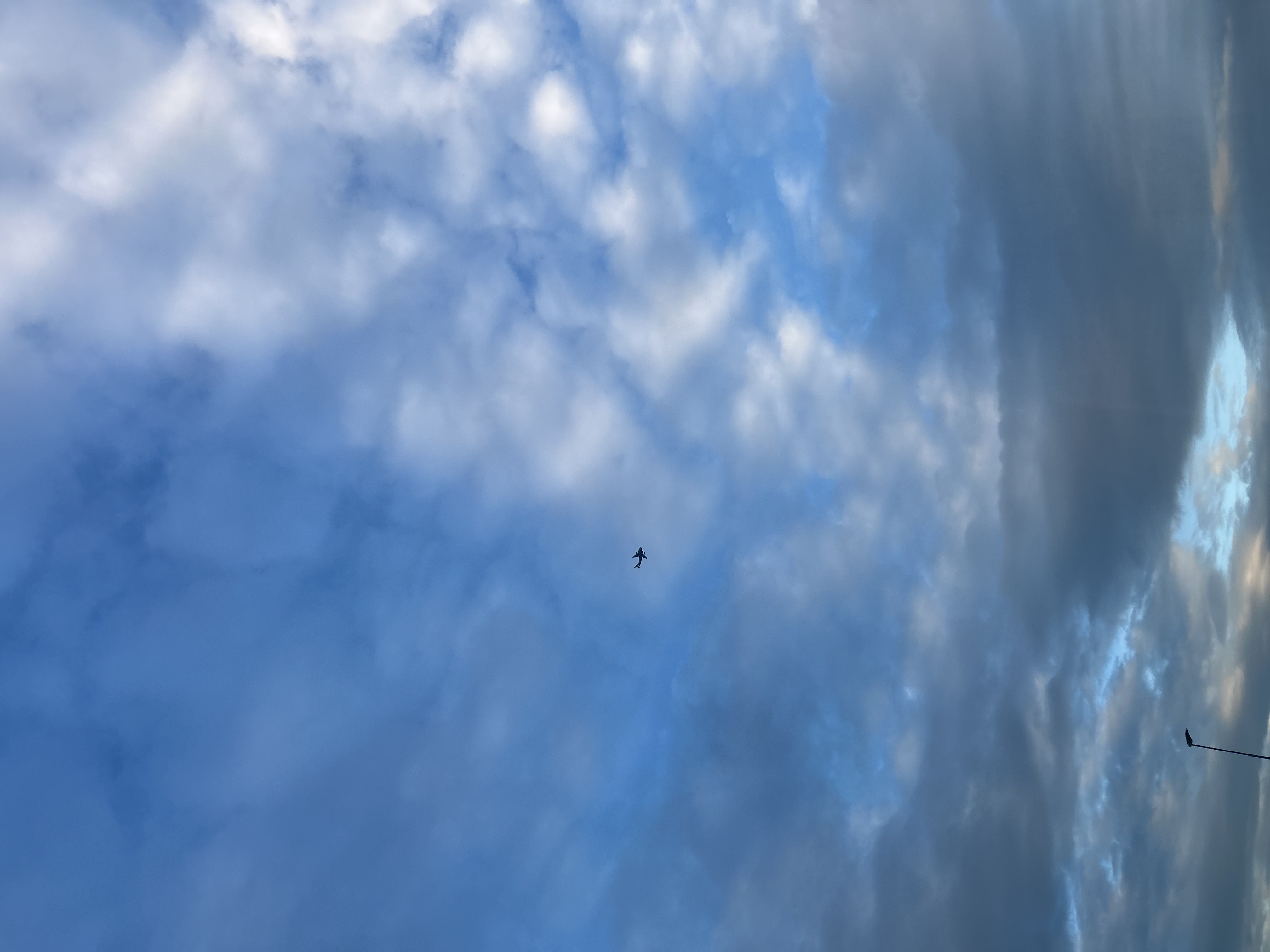 Spotting