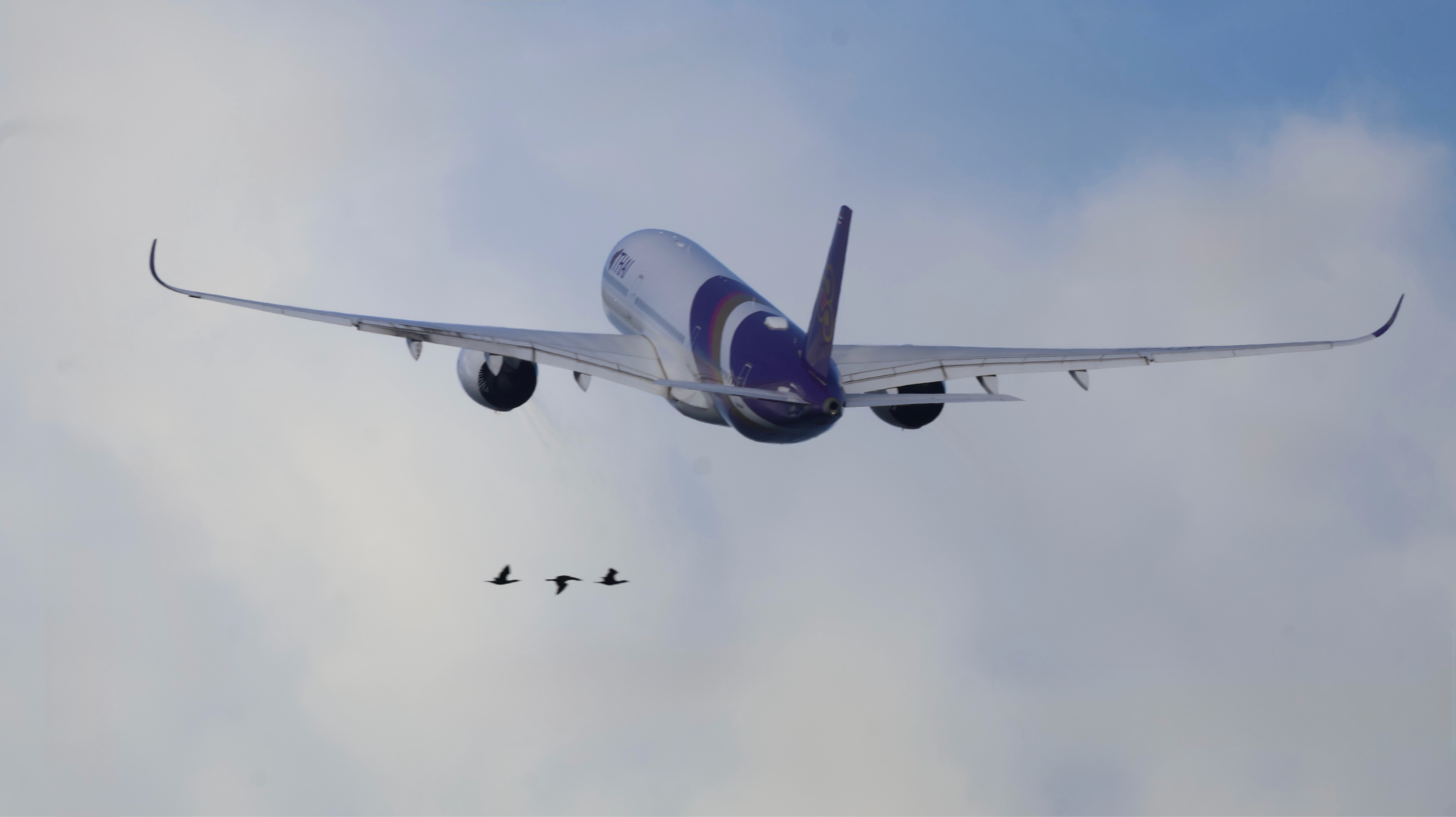 Spotting