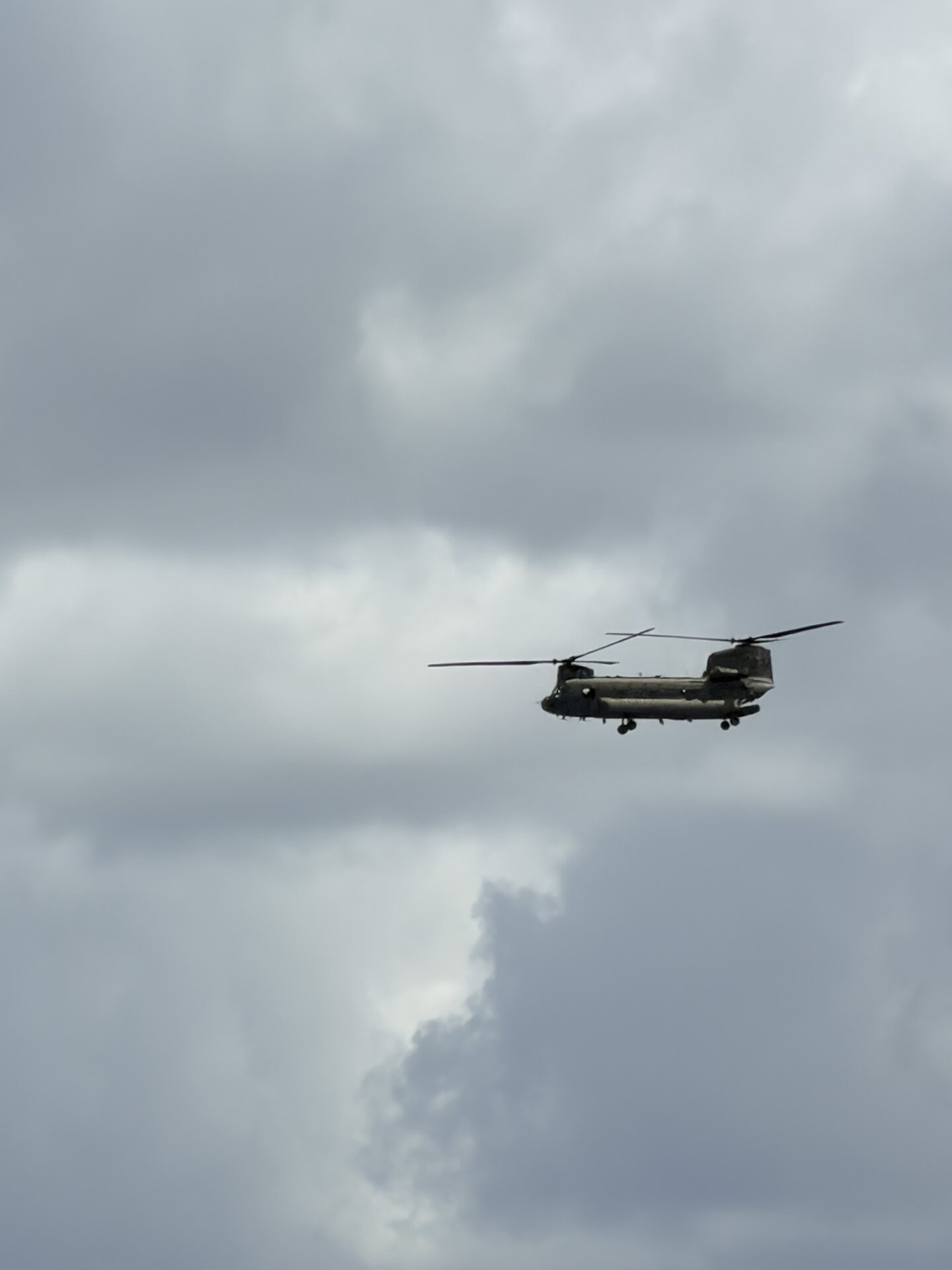 Spotting