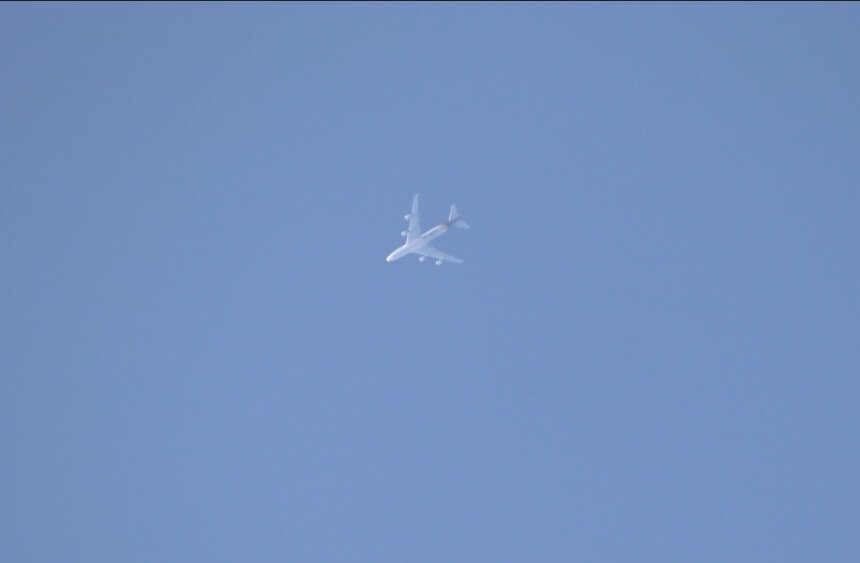 Spotting