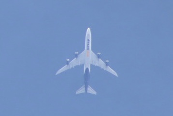 Spotting